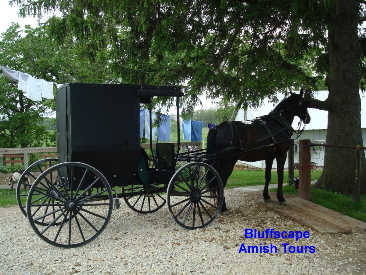 Bluffscape Amish Tours, LLC Explore Minnesota