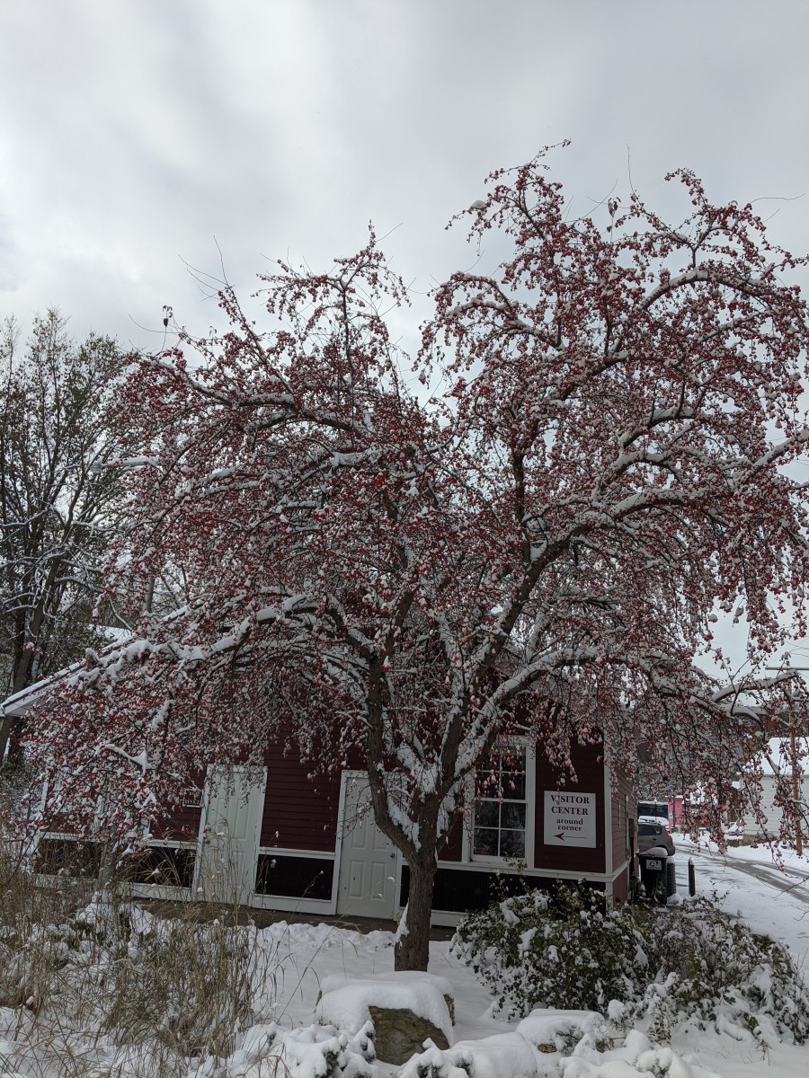 Experience the Magic of Lanesboro Explore Minnesota