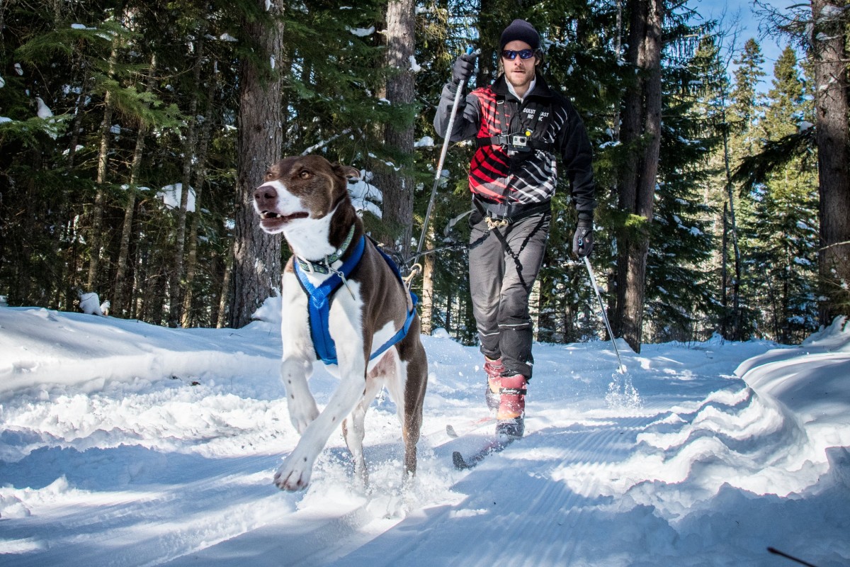 Dog Days of Winter Explore Minnesota