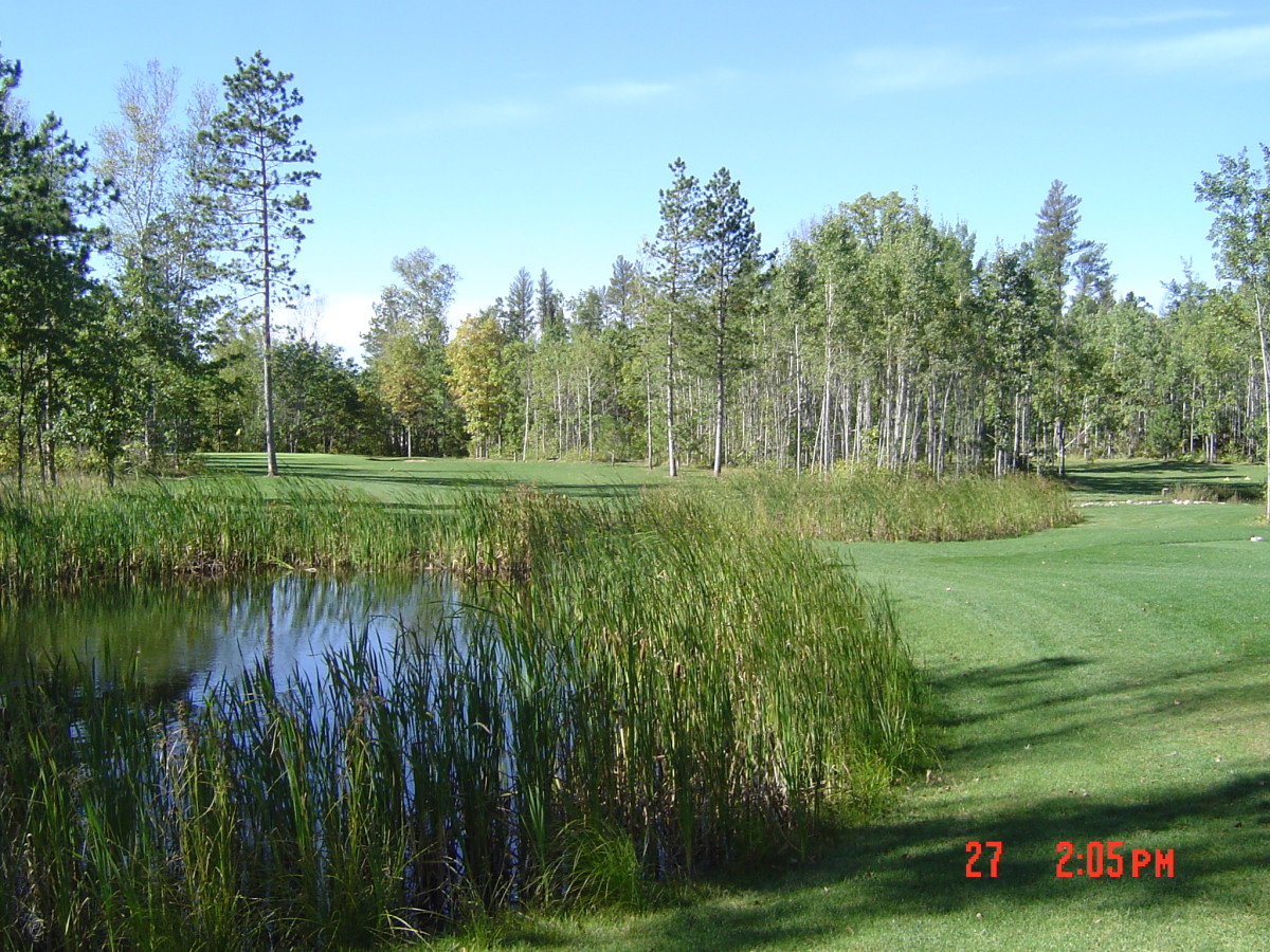 Wildwedge Golf & RV Park Explore Minnesota