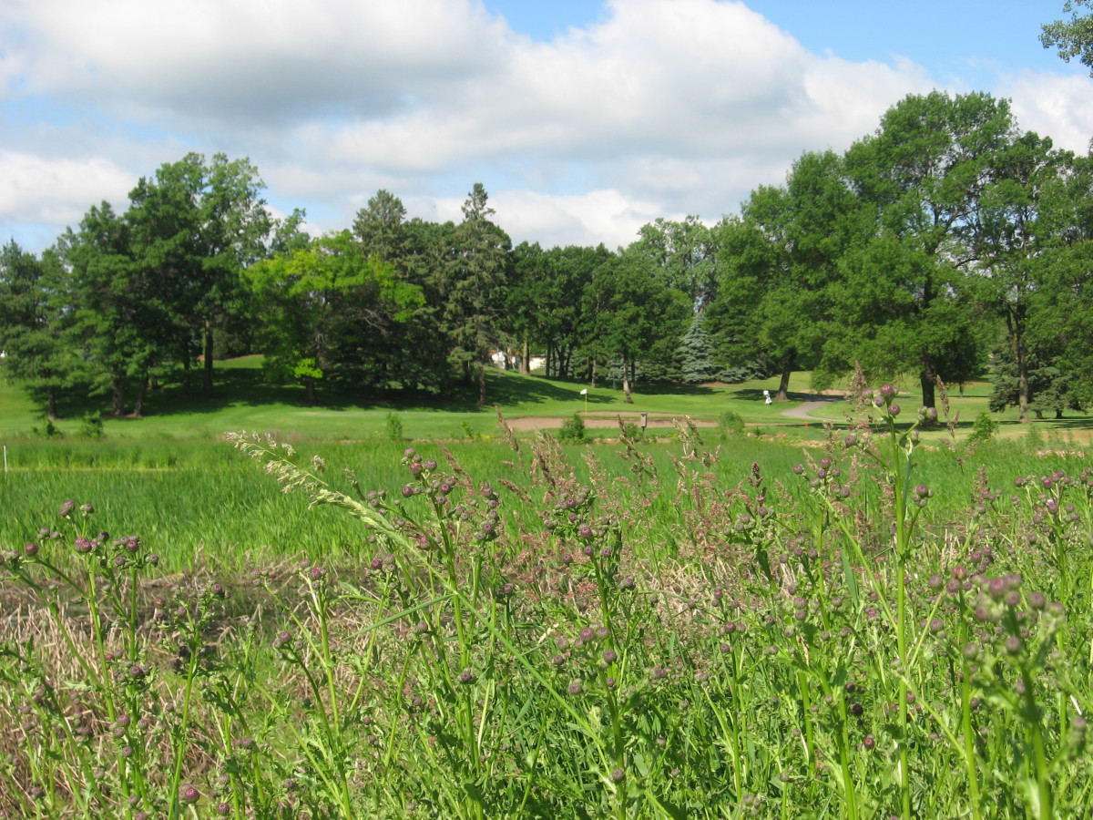 Green Haven Golf Course Explore Minnesota