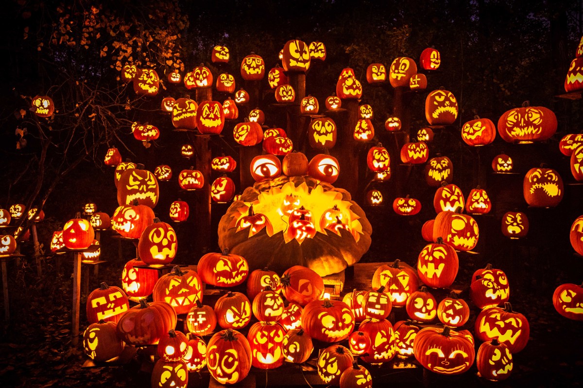 Jack O Lantern Spectacular | Explore Minnesota