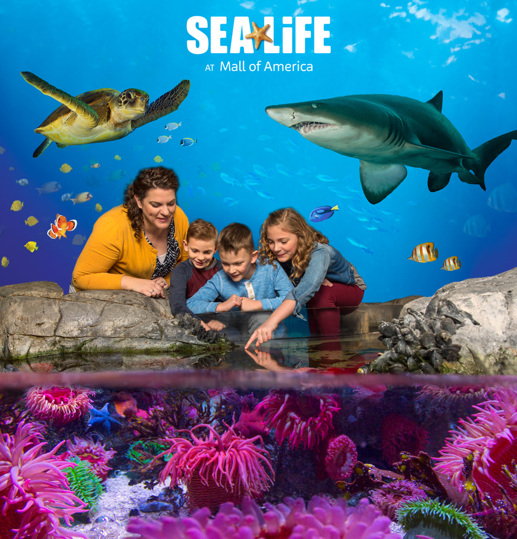 SEA LIFE Minnesota Aquarium Admission at the Mall of America 2023 -  Bloomington