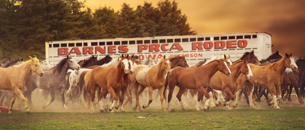 Lyon County Fair | Explore Minnesota Lyon County Fair | Explore Minnesota