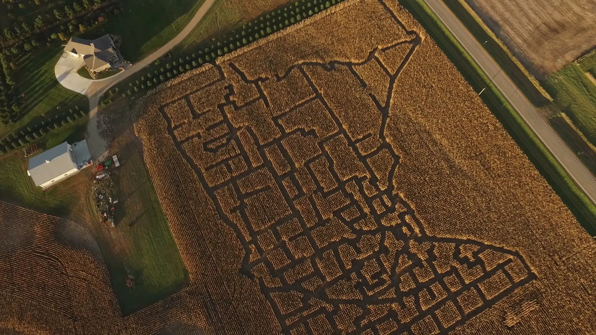 Corn maze at Rock River Pumpkin Festival in Edgerton