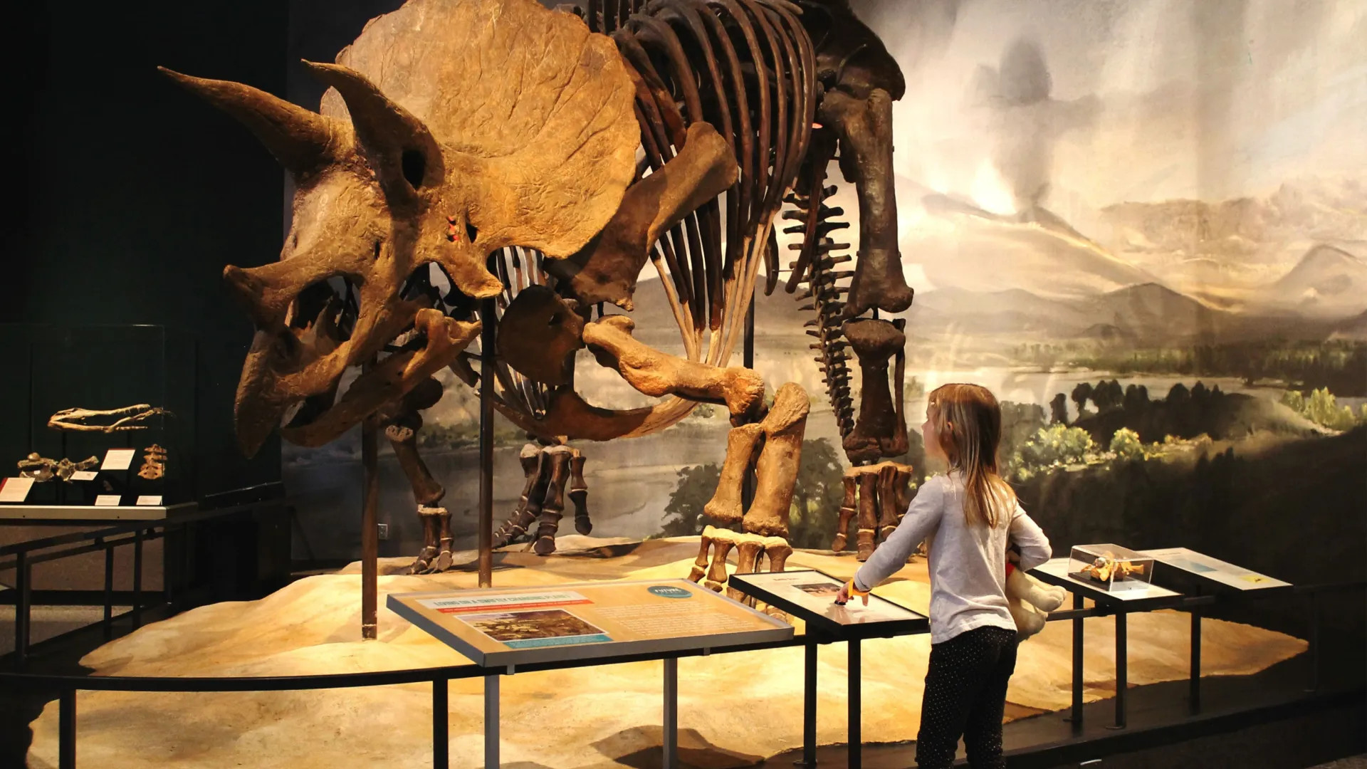 Dinosaurio en el Science Museum of Minnesota