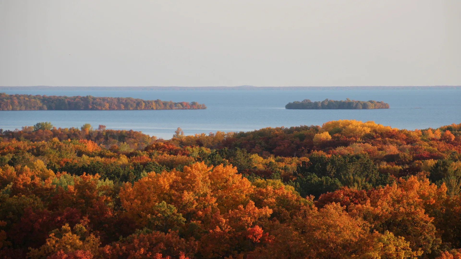 Fall trees from above Mille Lacs Kathio State Park