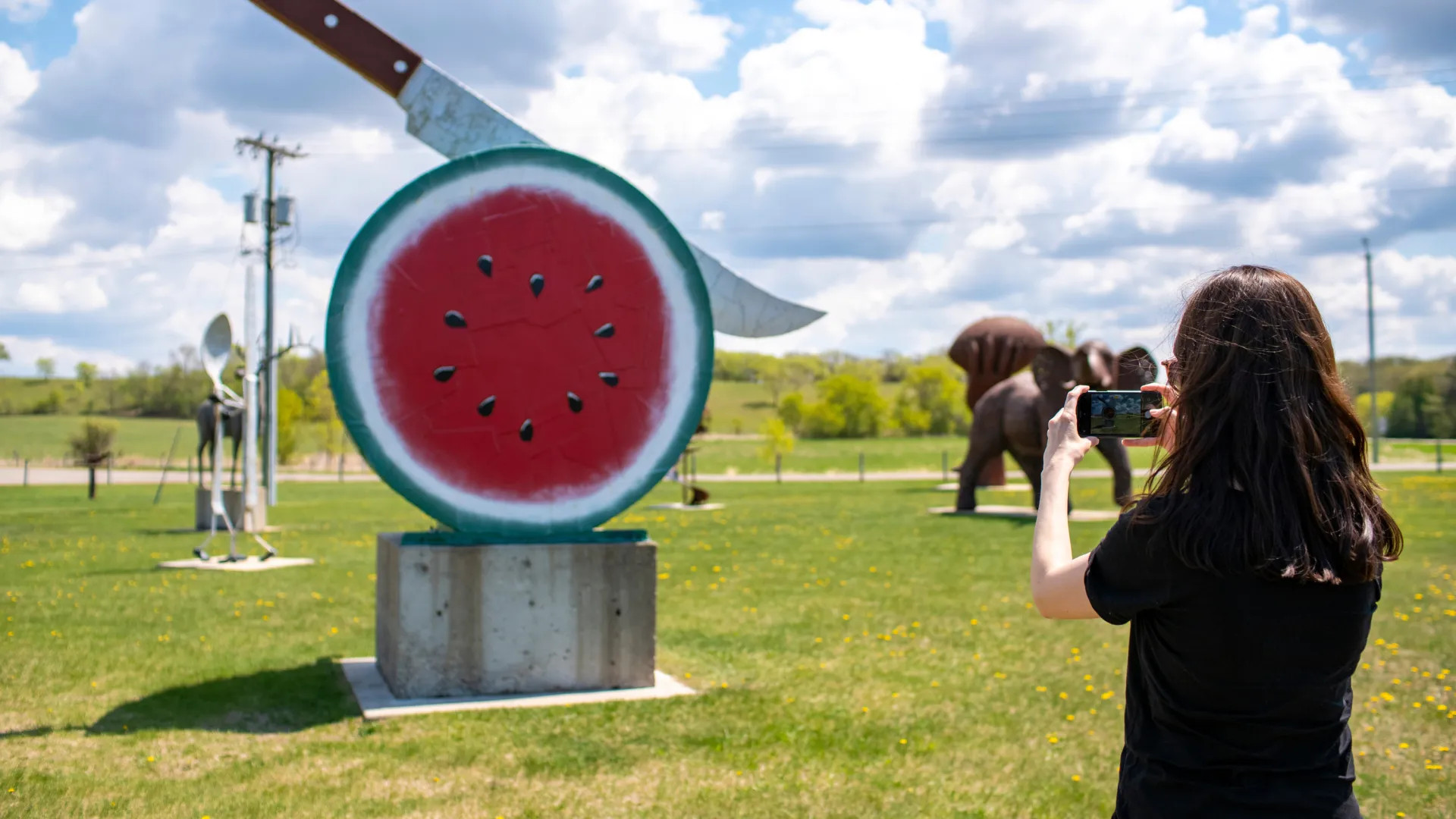 Nyberg Sculpture Park, Vining