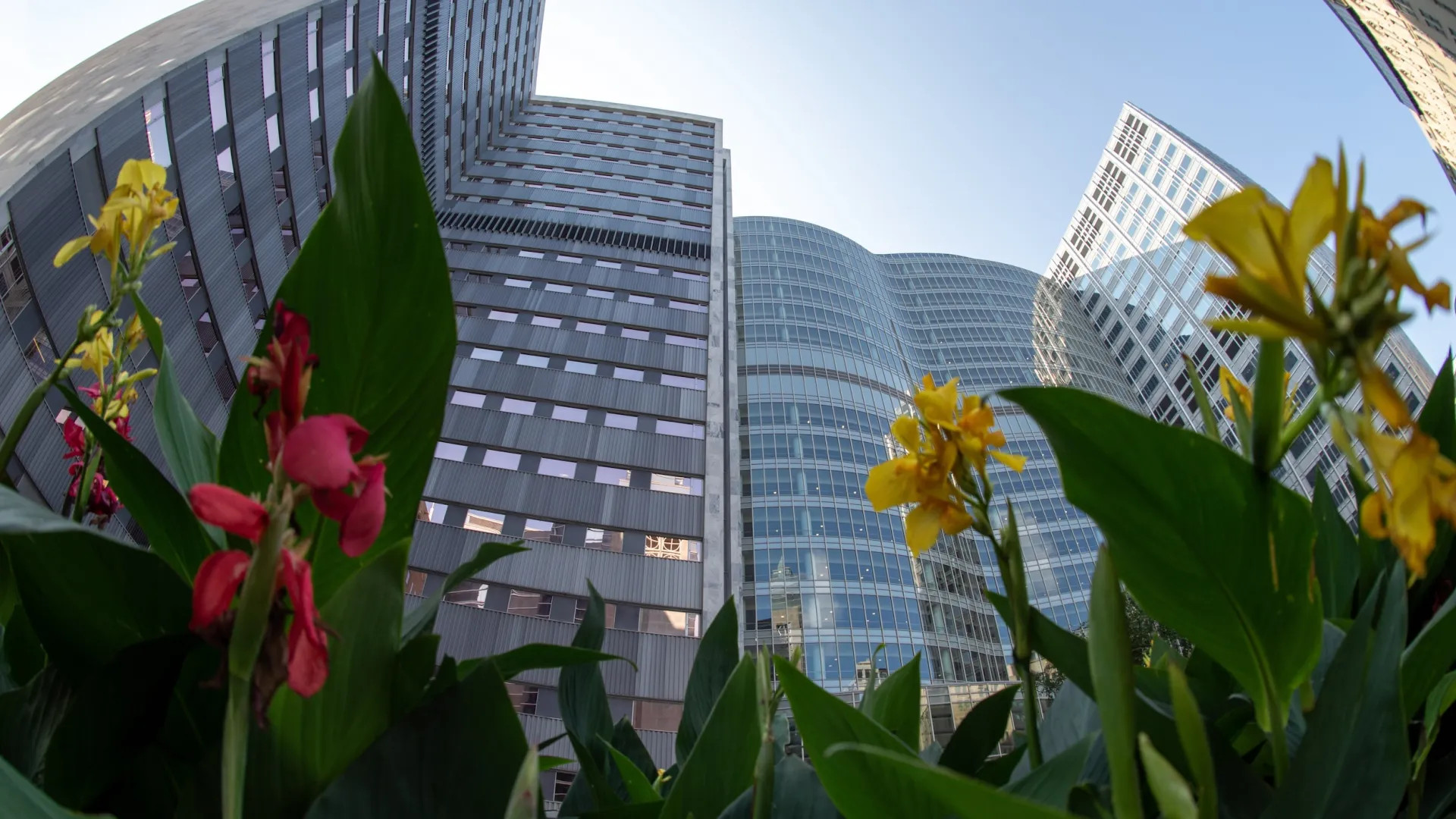 Mayo Clinic exterior with flowers