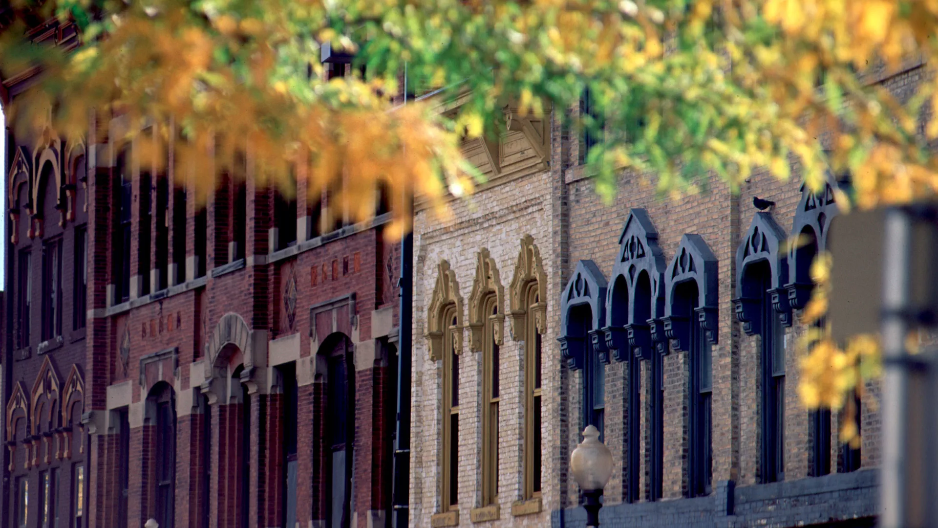 Architectural details of downtown Faribault windows