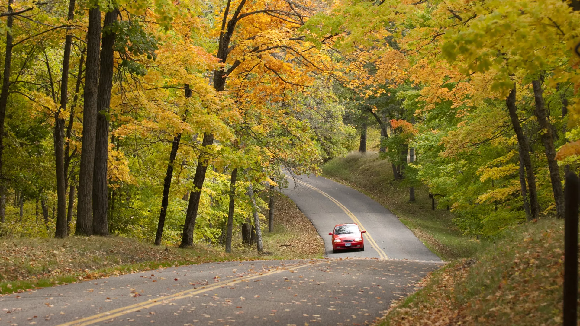 La ruta panorámica por el Bemidji State Park