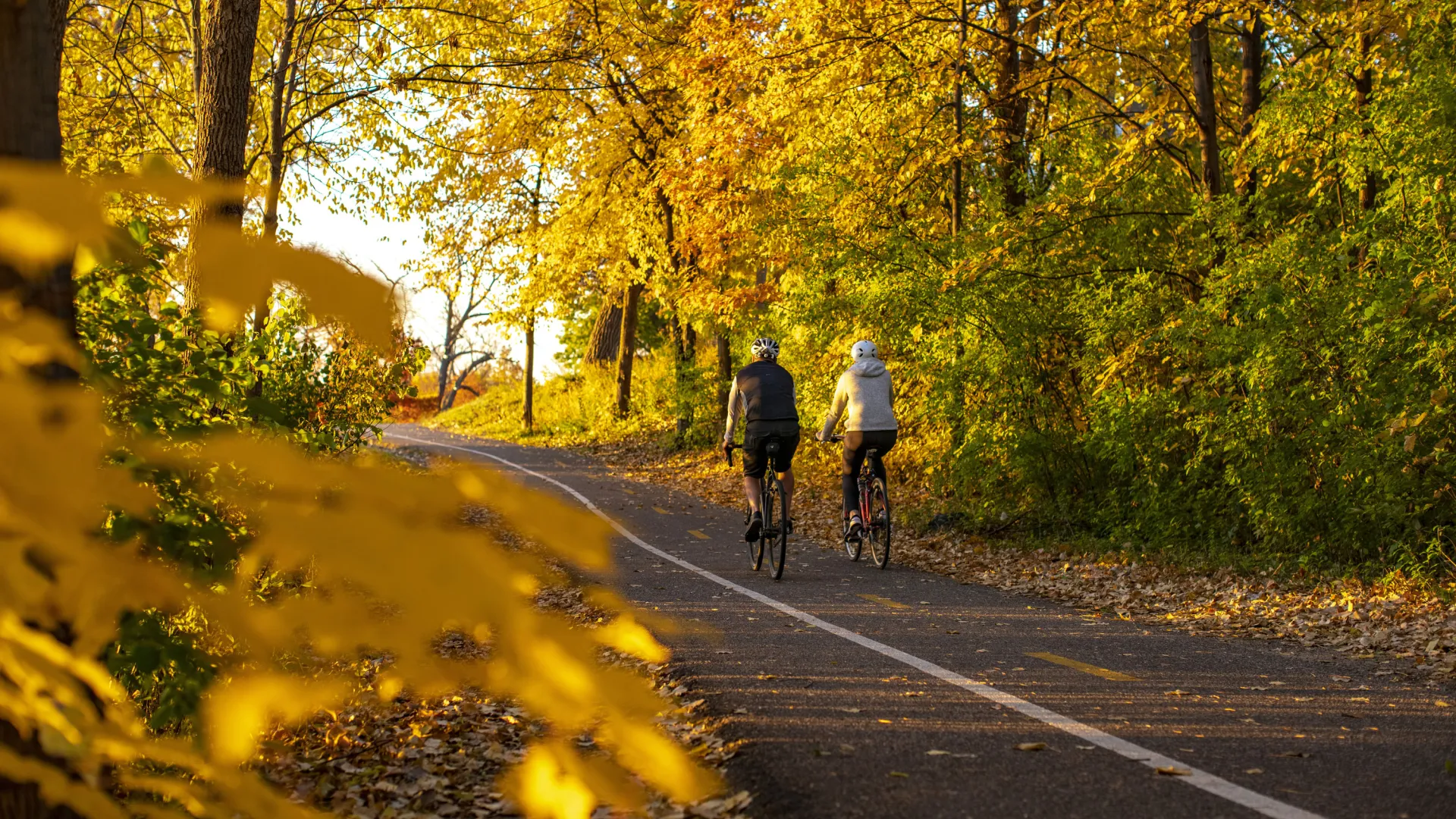 Two bicyclists on the Cedar Lake Trail