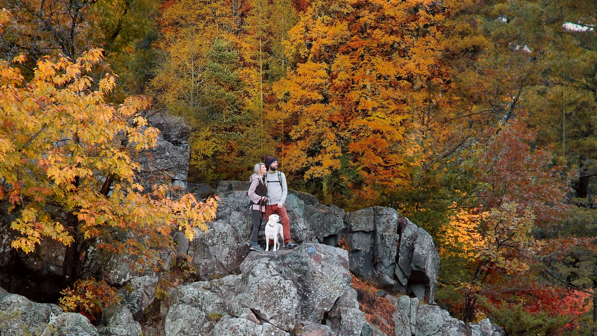 Couple and dog standing on cliff in the fall