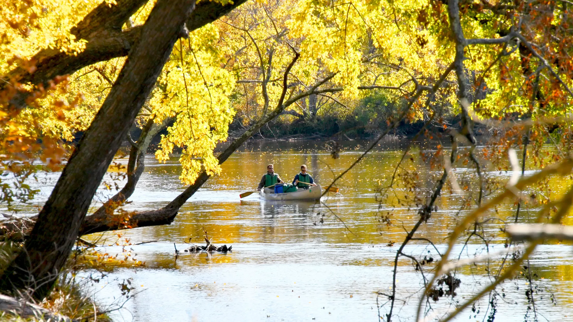 Fall canoeing at St. Croix State Park