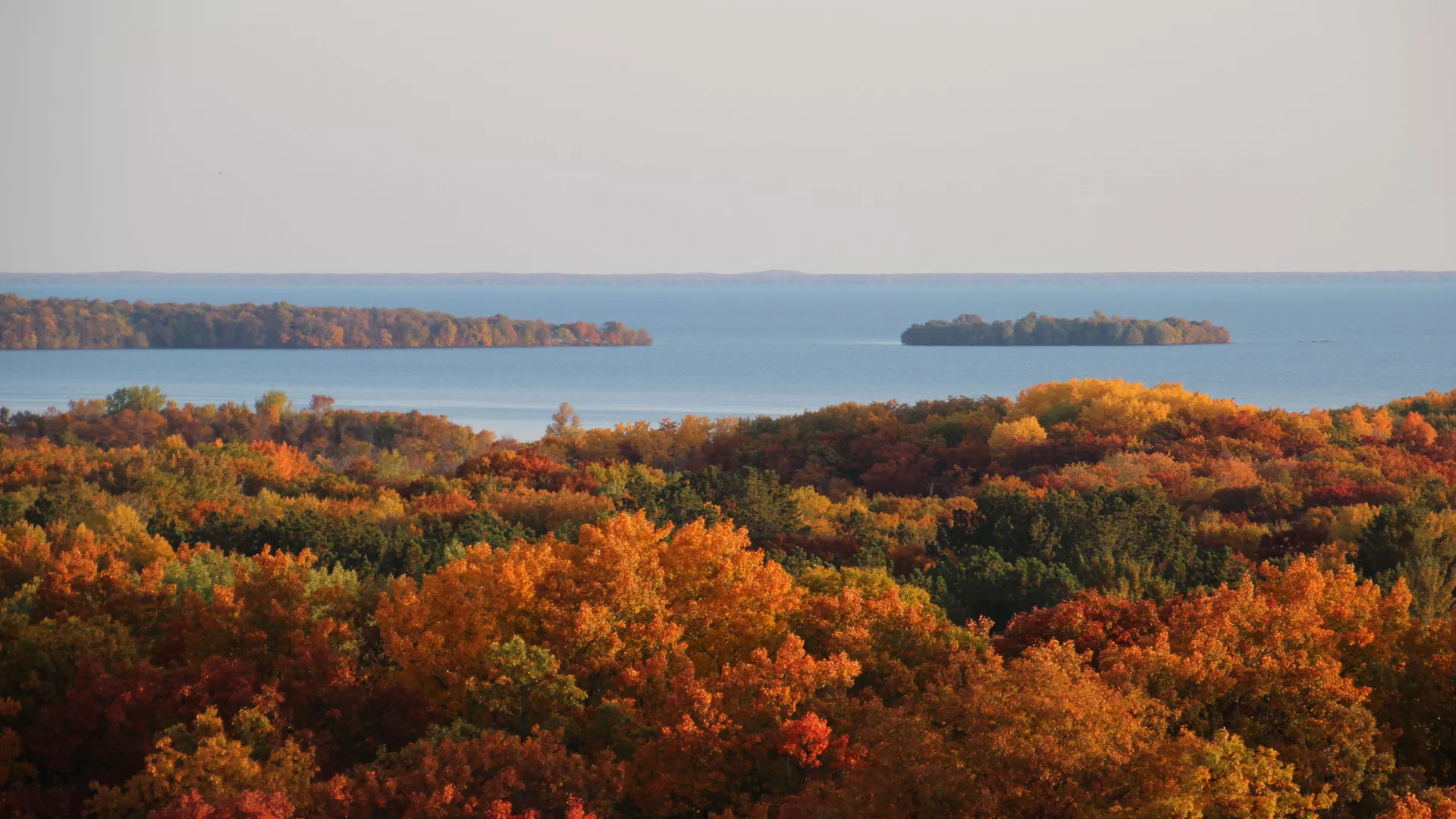 Fall trees from above Mille Lacs Kathio State Park