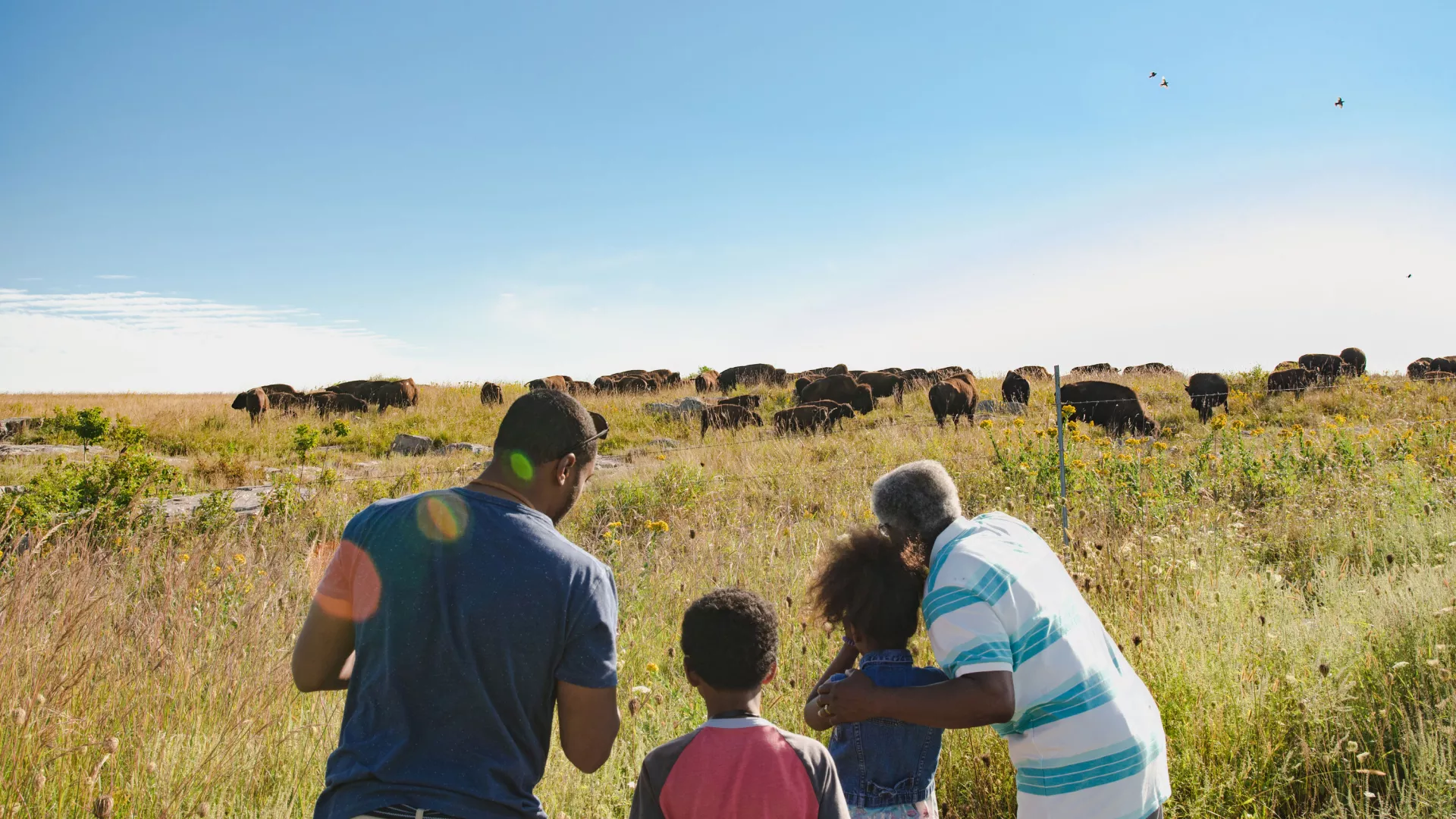 Family viewing bison herd at Blue Mounds State Park