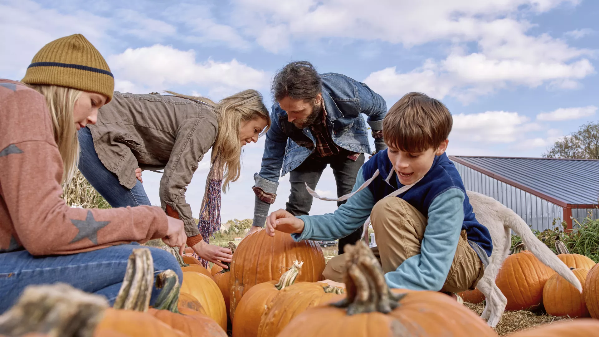 Familia recogiendo calabazas juntas