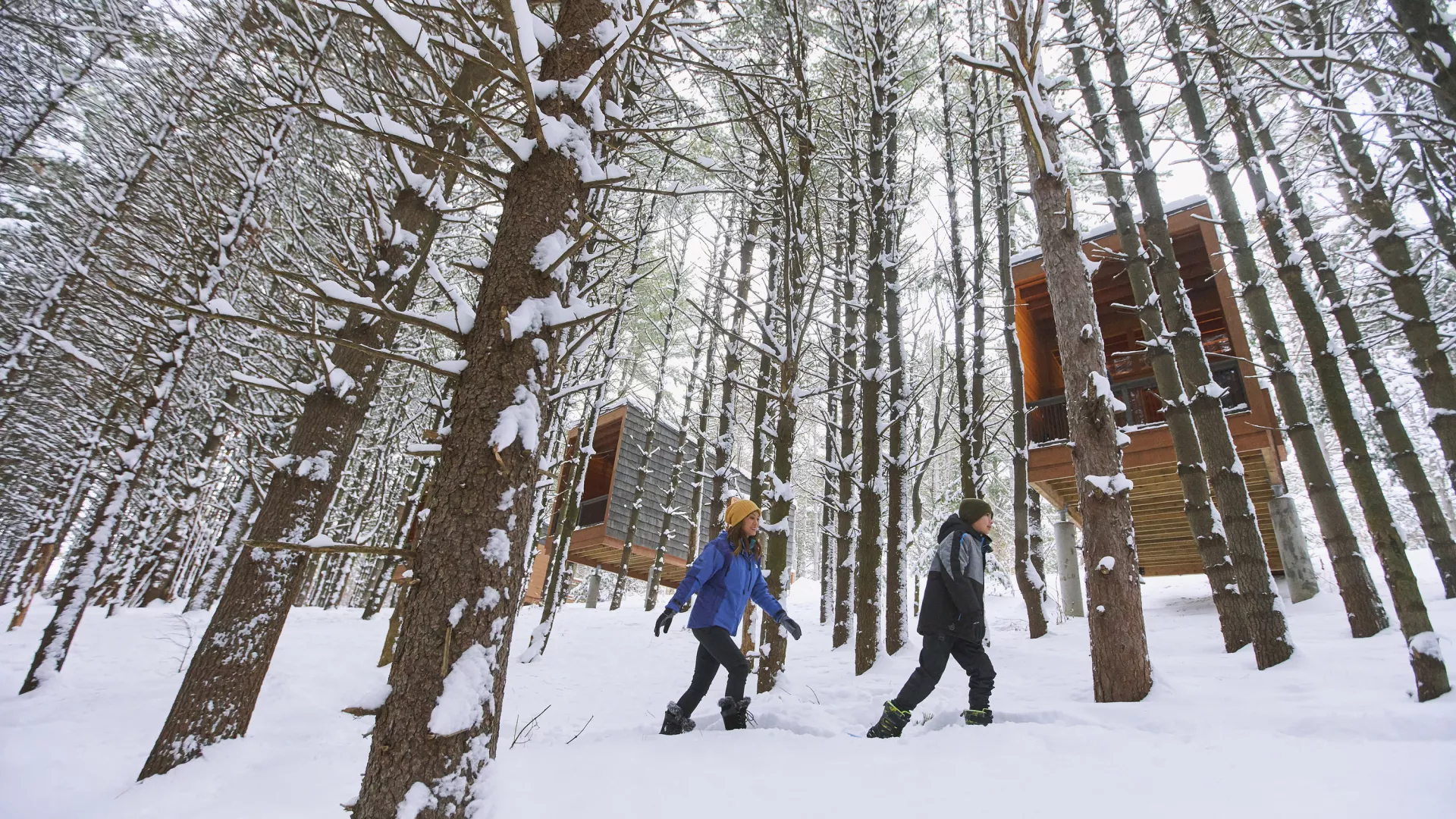 Pair of winter cabins at Whitetail Woods Regional Park