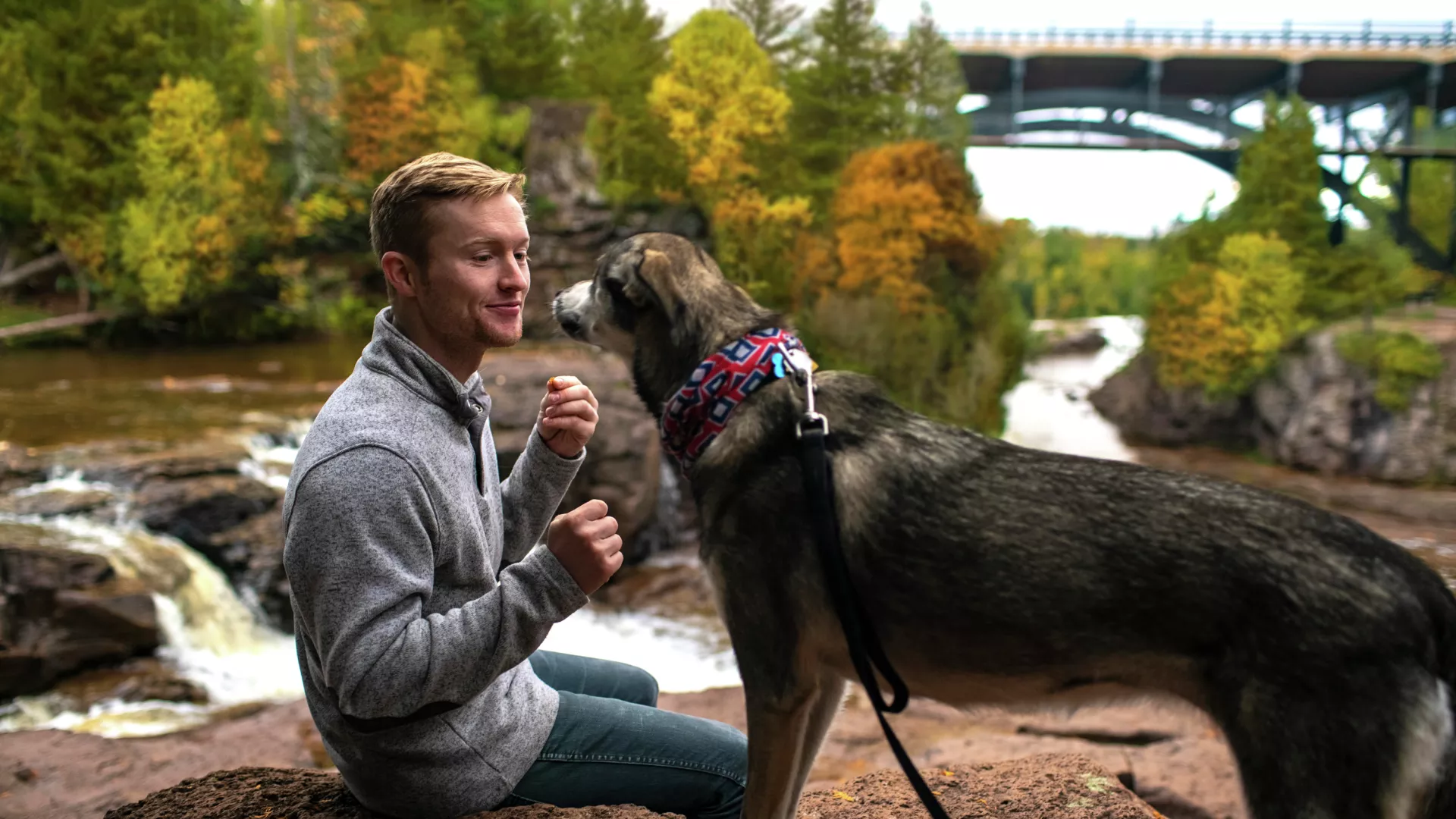 Man and dog at Gooseberry Falls State Park