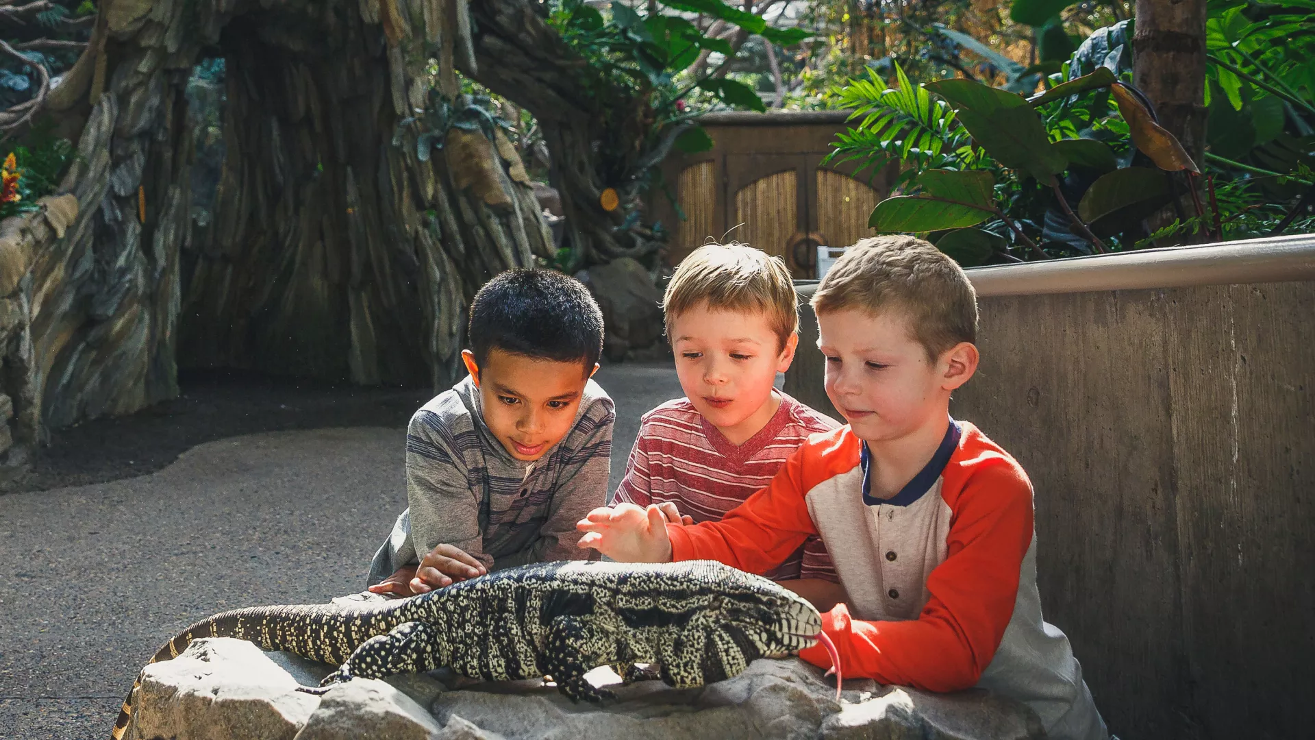 Kids with reptile at Minnesota Zoo