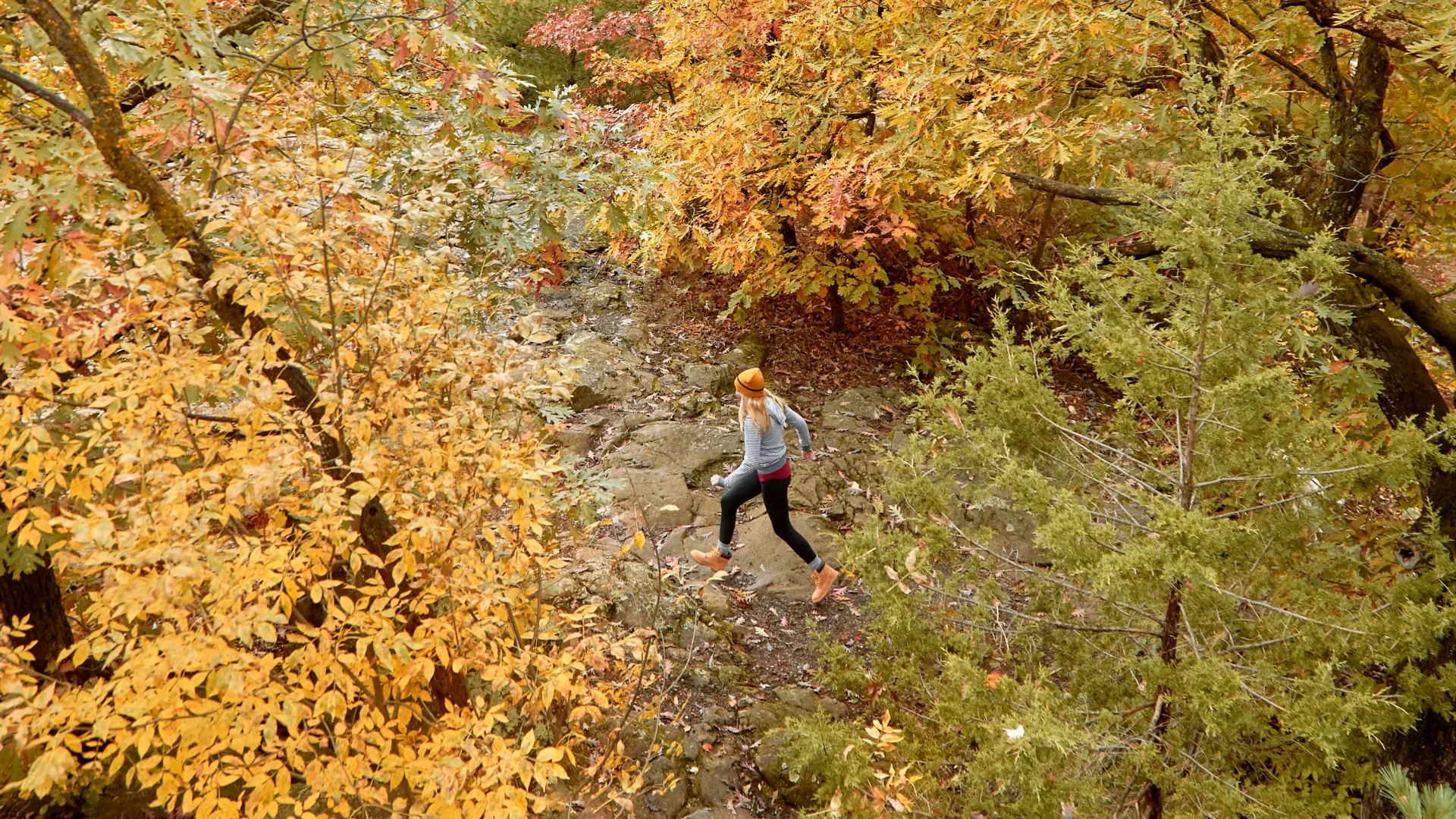 Woman hiking at Afton State Park in the fall