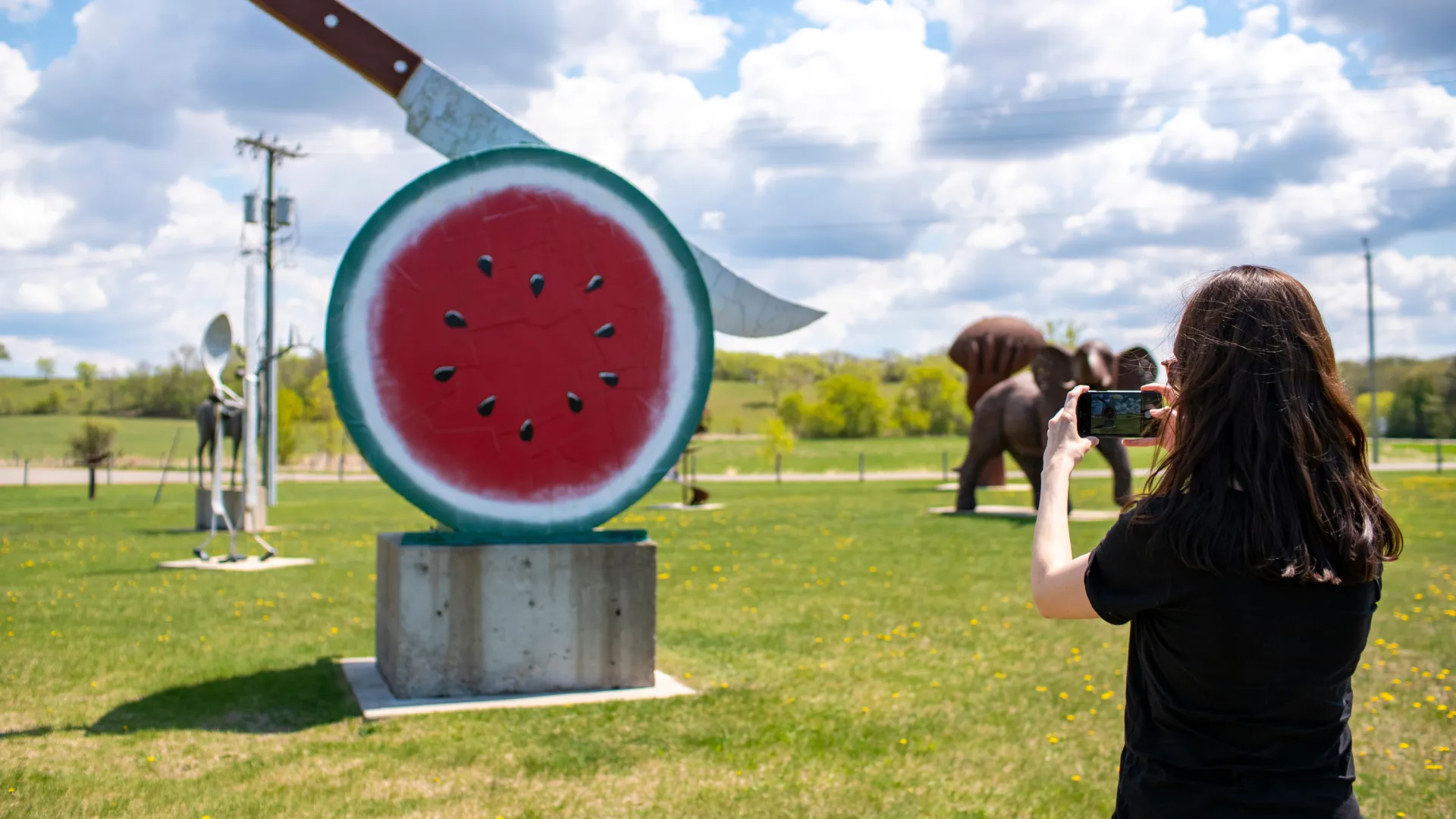 Nyberg Sculpture Park, Vining