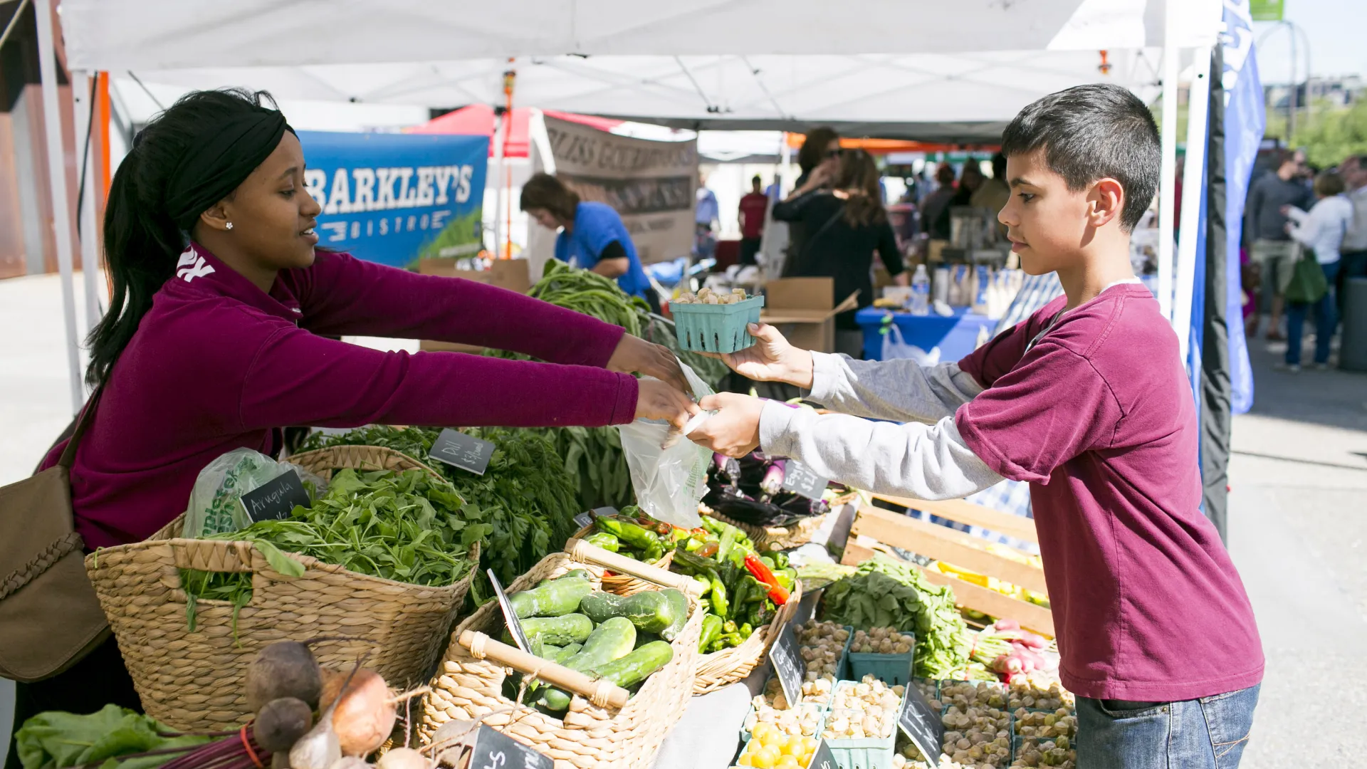 Urban Roots at Mill City Farmers Market