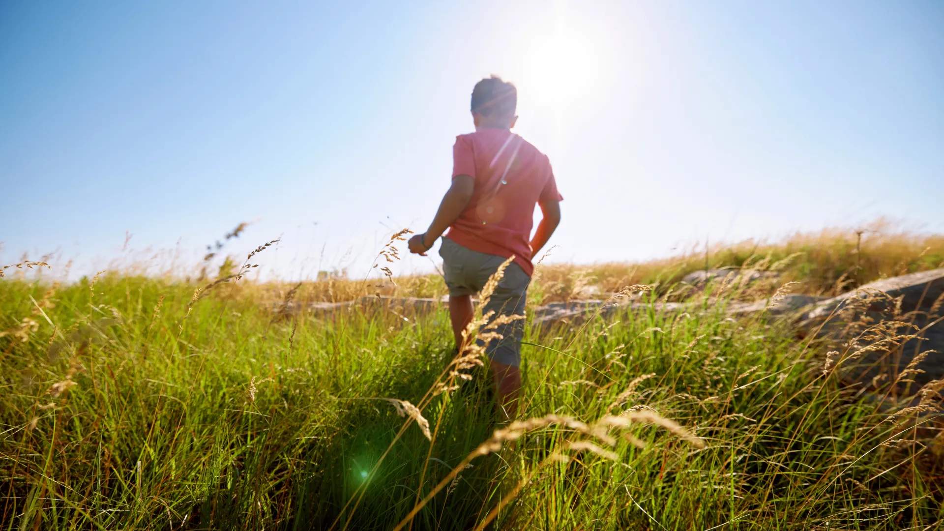A child walks through Touch the Sky Prairie in Luverne