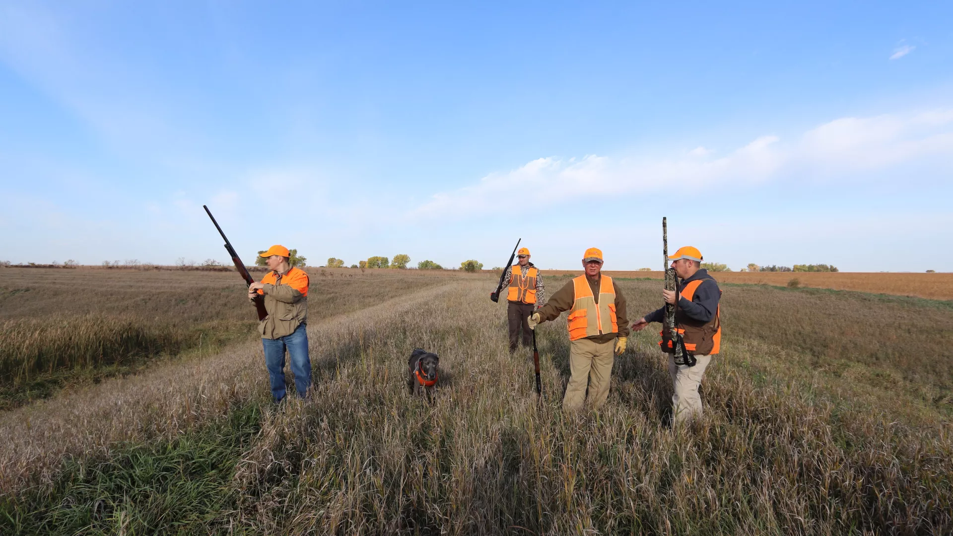 Pheasant hunters with a tracking dog