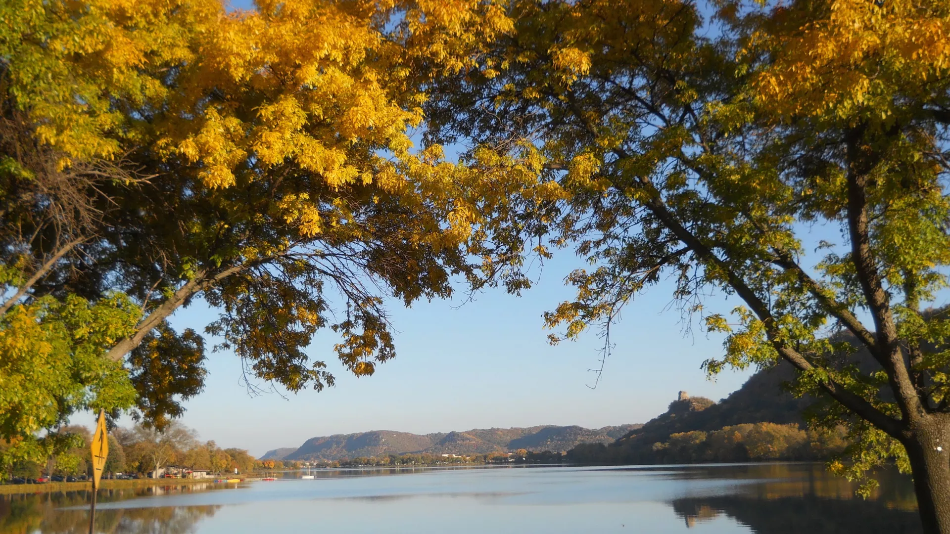 Fall colors along the Sugar Loaf bluff in Winona