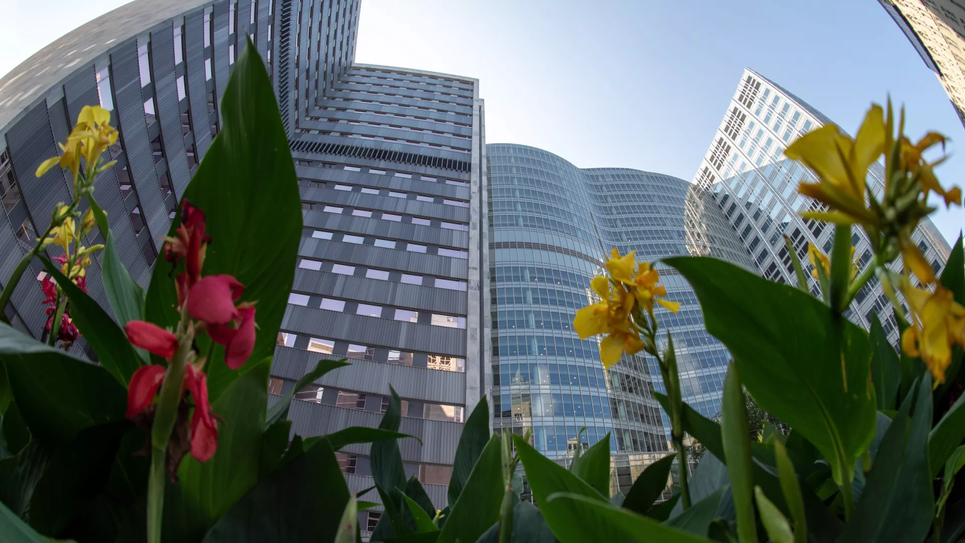 Mayo Clinic exterior with flowers