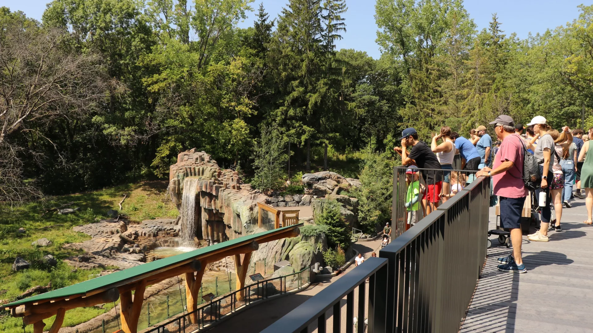 Minnesota Zoo's Treetop Trail