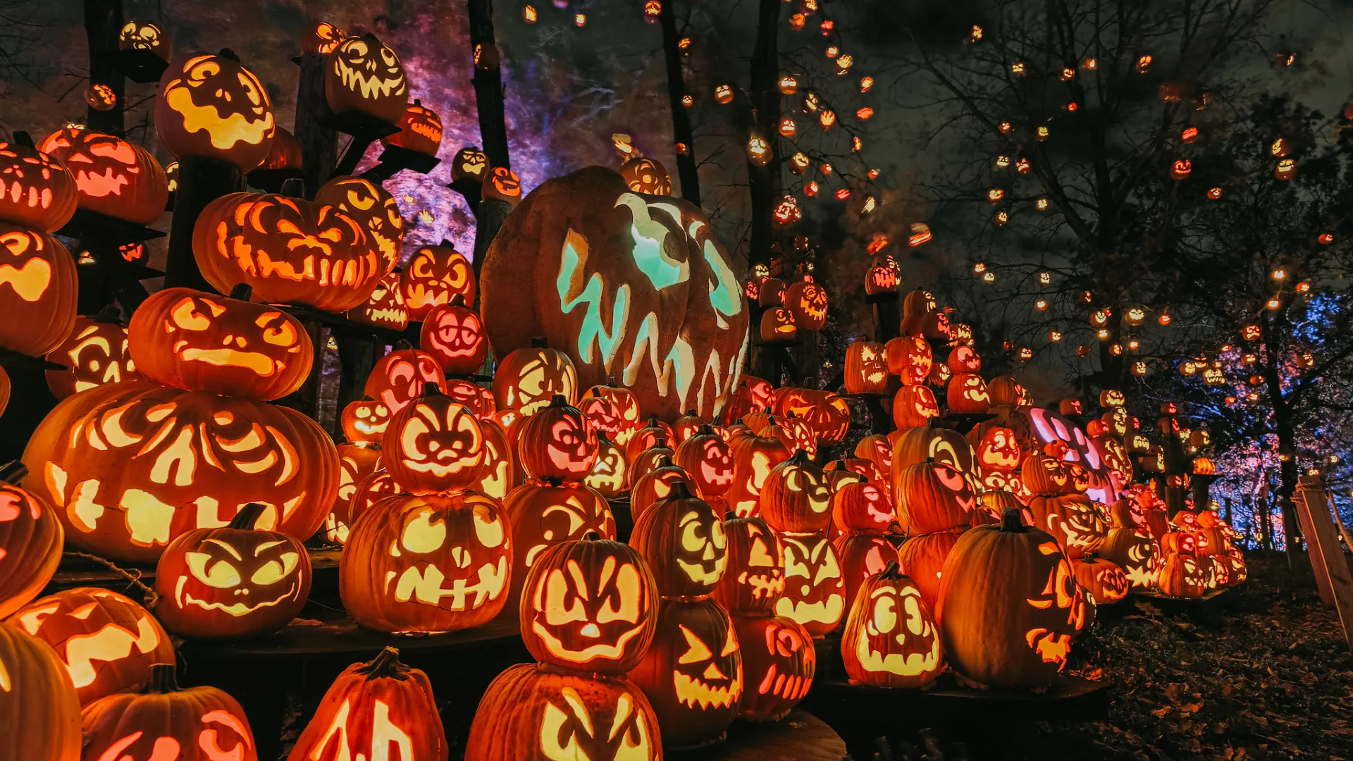 Jack-O-Lantern Spectacular at the Minnesota Zoo