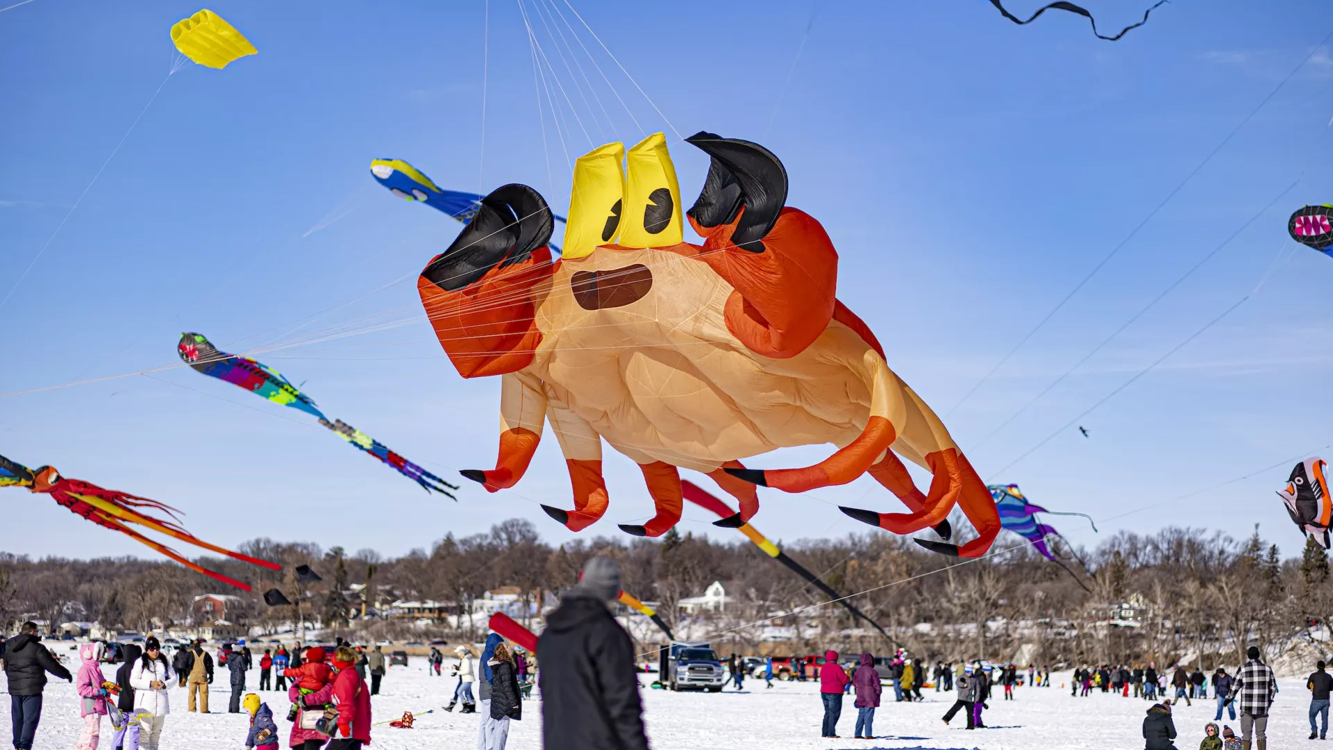 Buffalo's Kites on Ice Festival