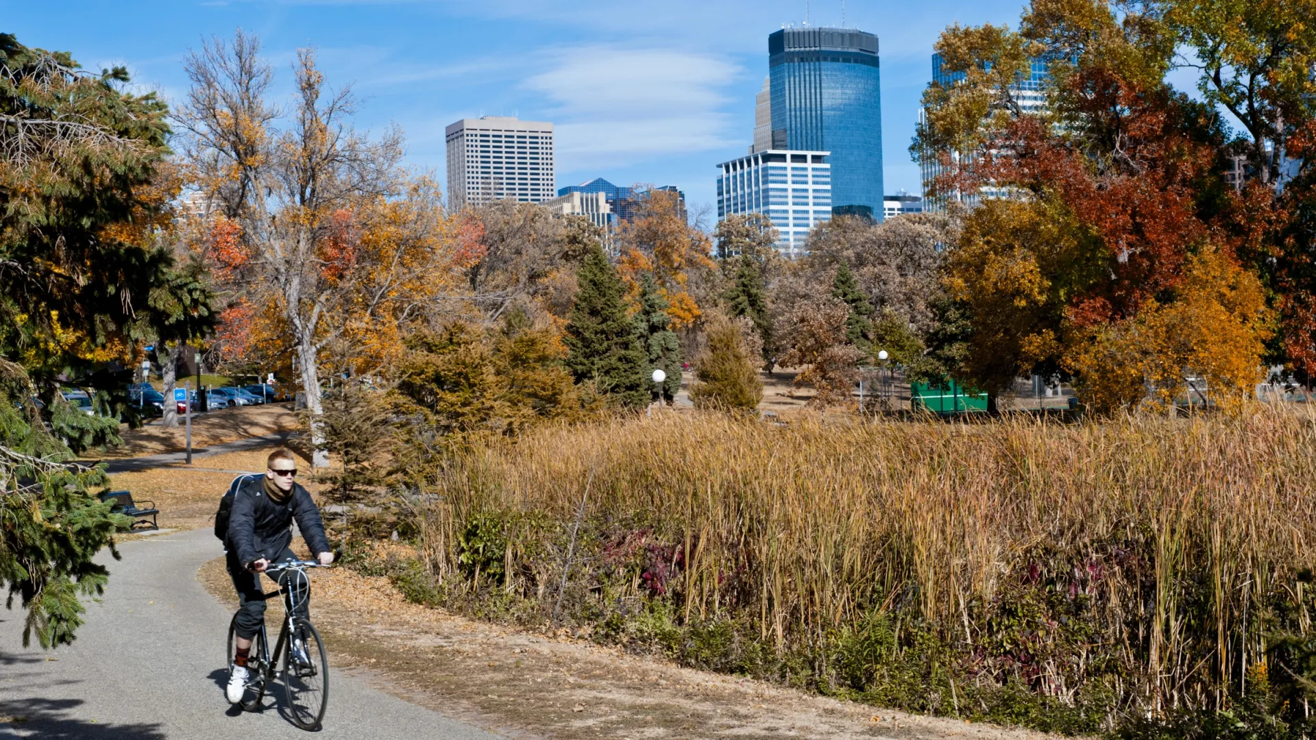 Fall biking through Loring Park with Minneapolis skyline in background
