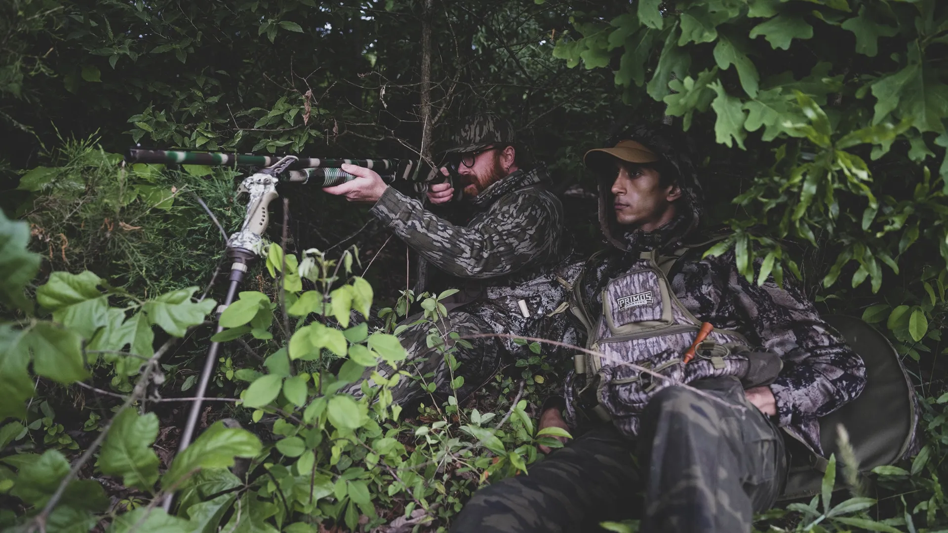 Hunting for wild turkey in the spring