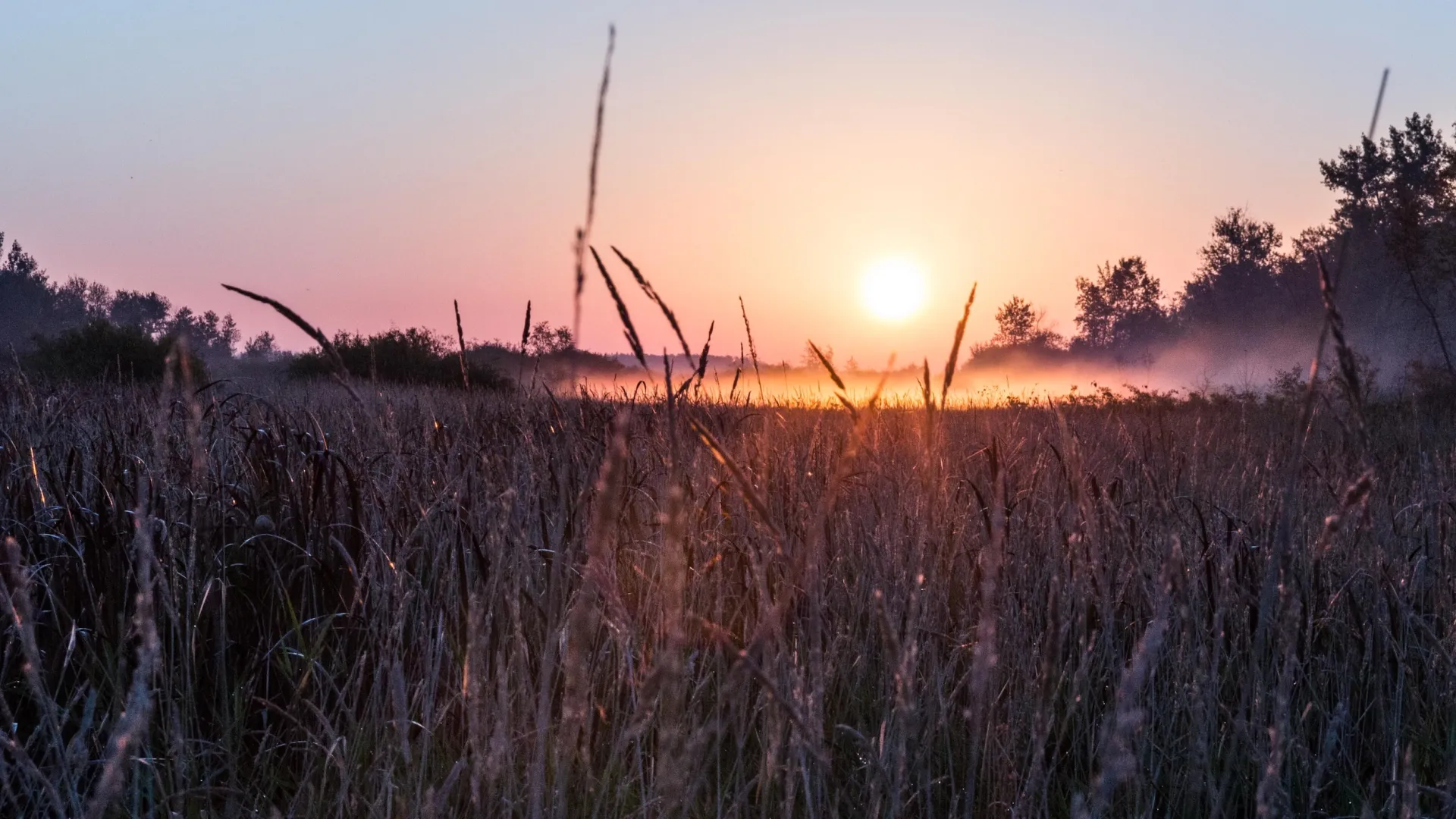 Agassiz National Wildlife Refuge