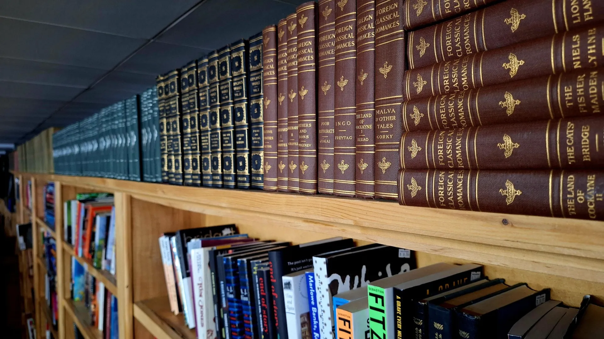 A shot of the shelves at Books Revisited in St. Cloud