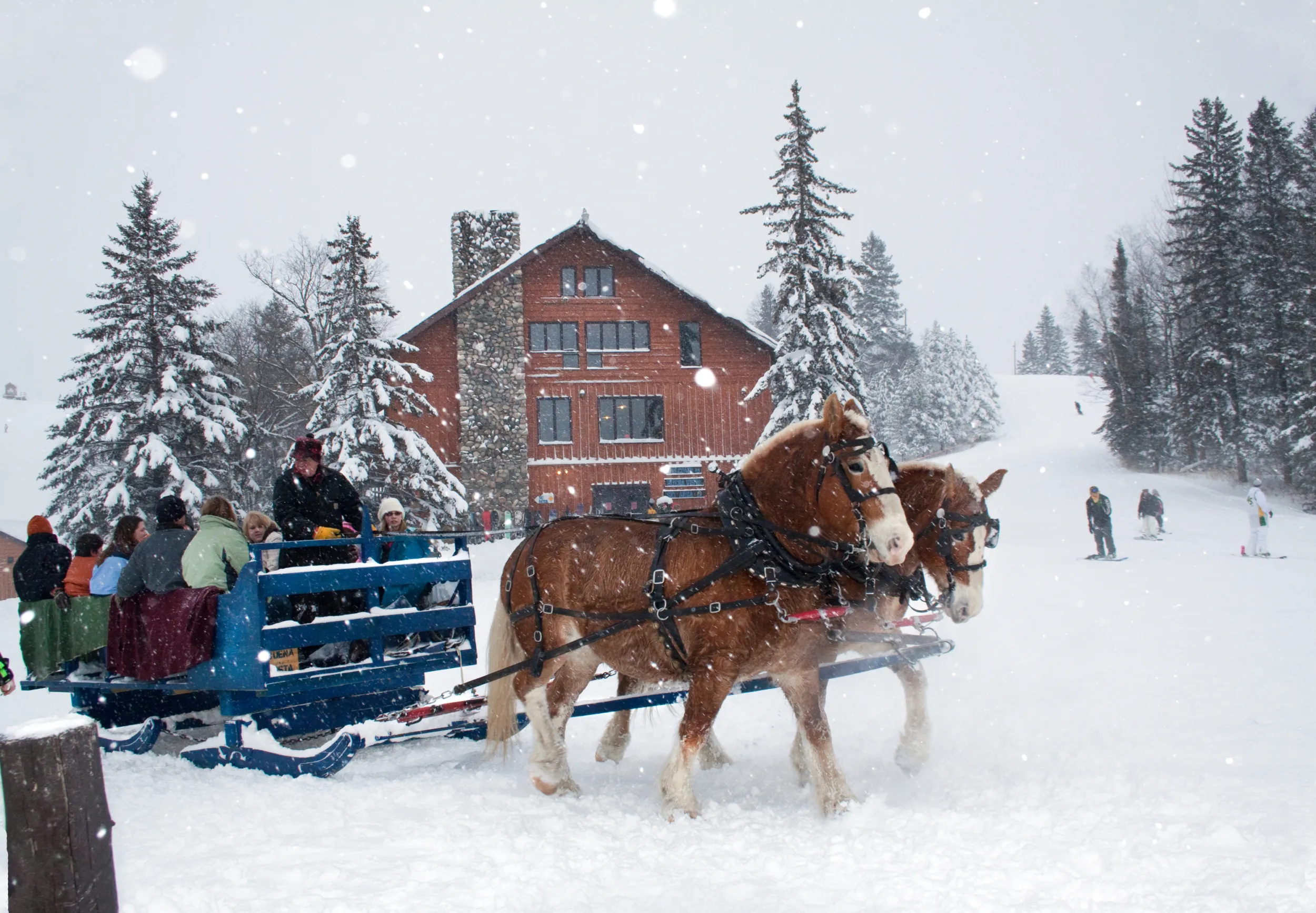 Carriage ride and chalet at Buena Vista, Bemidji