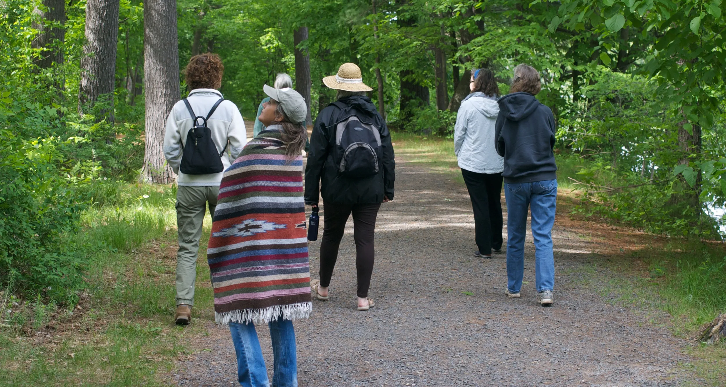 A group of forest bathers at Hidden Falls Park in St. Paul