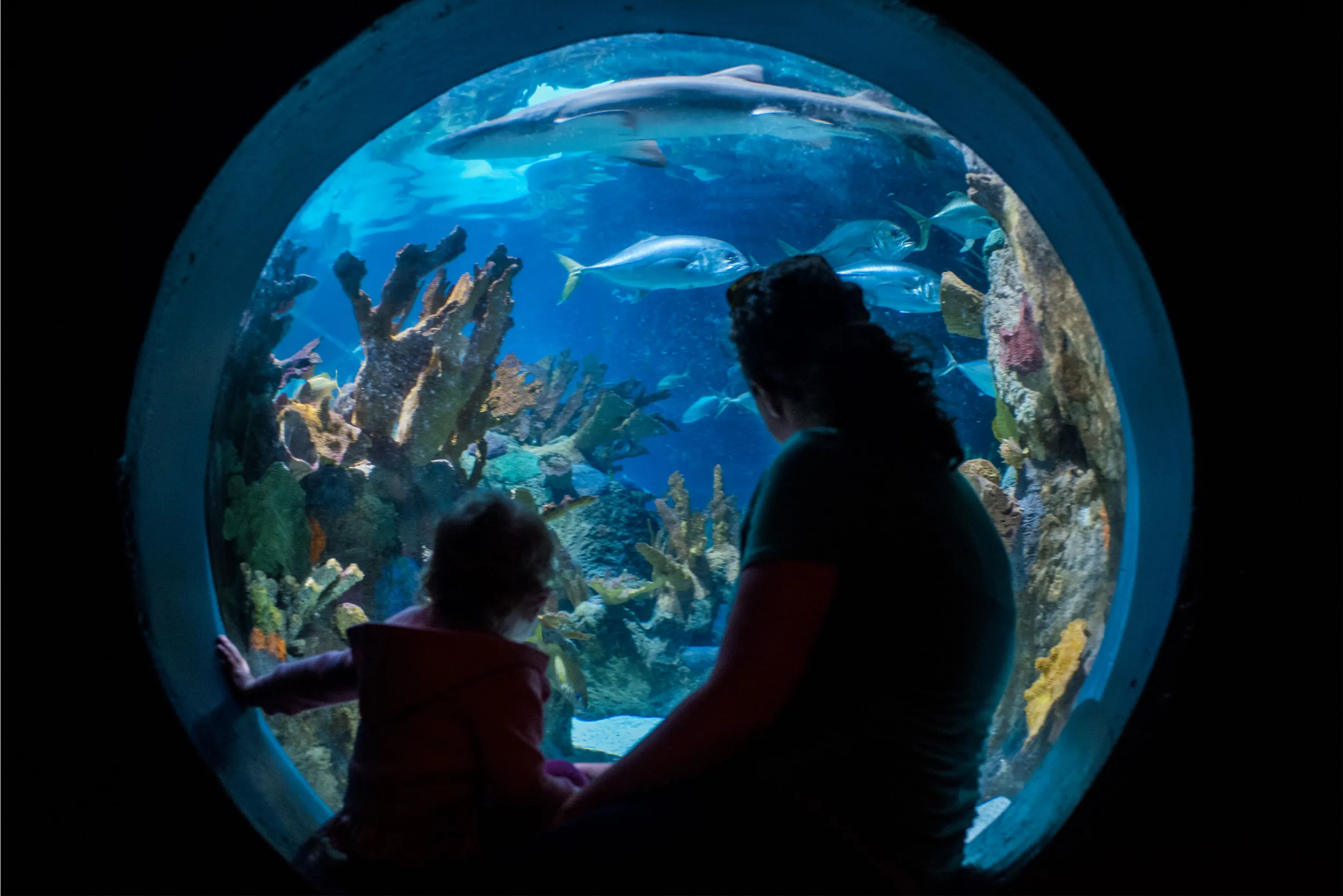 Discovery Bay Minnesota Zoo