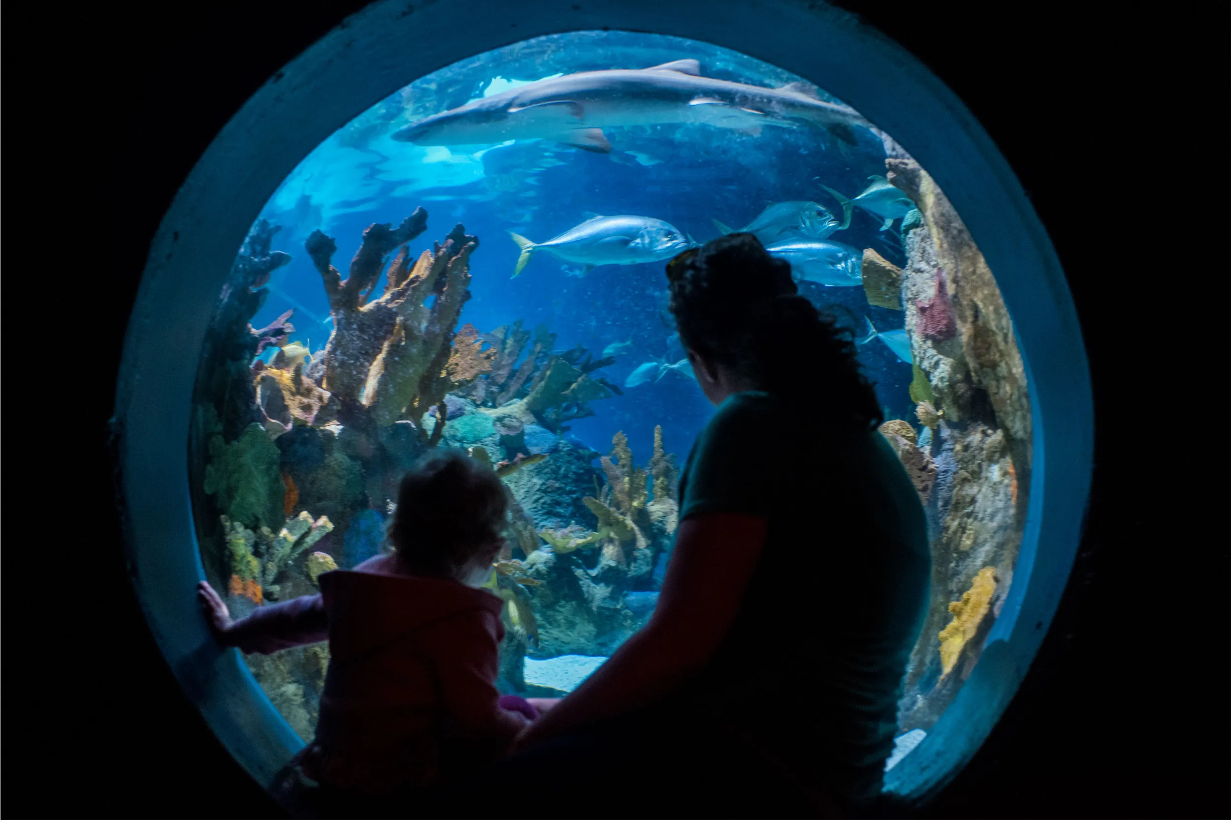 Discovery Bay Minnesota Zoo