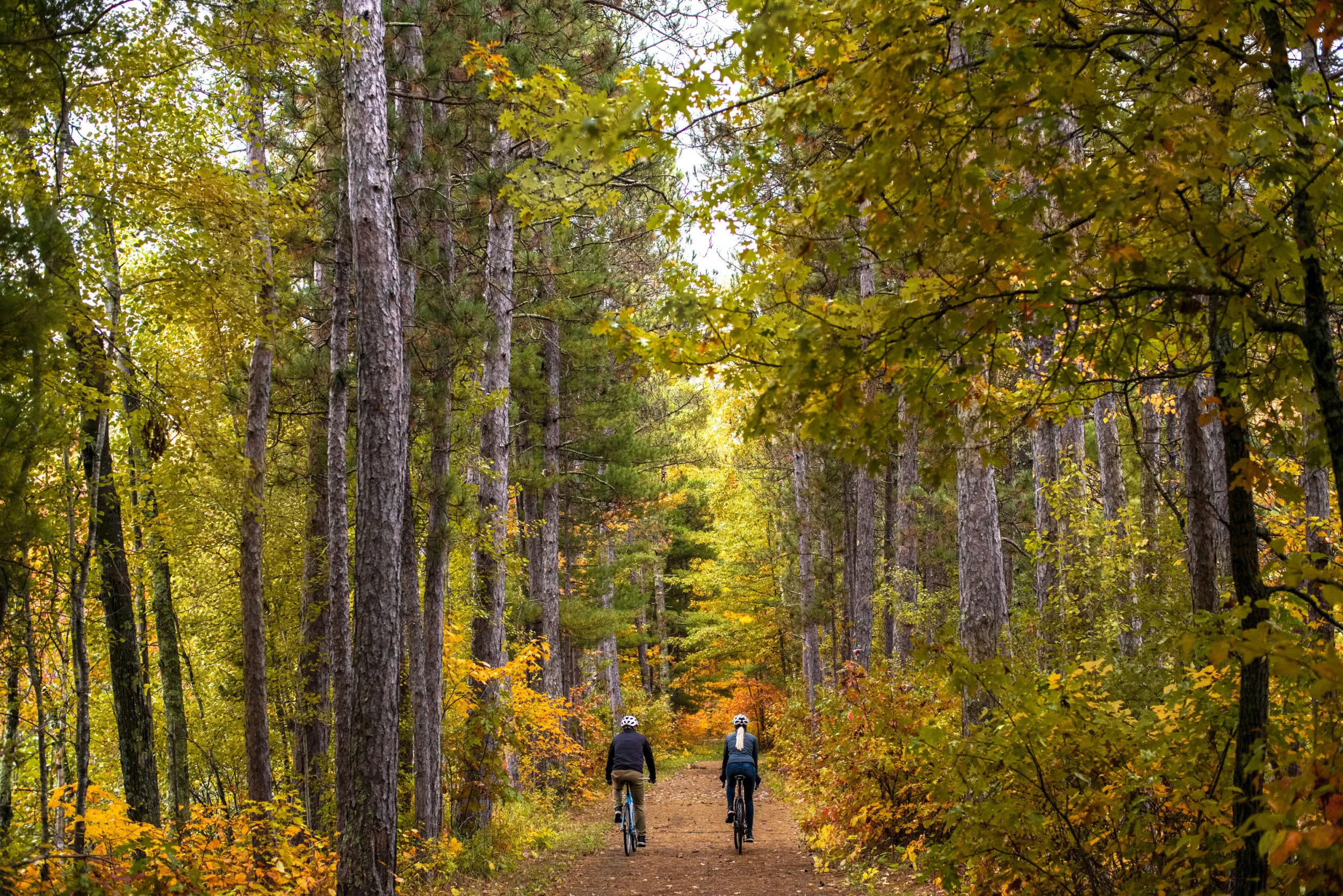 Fall biking in the Chippewa National Forest