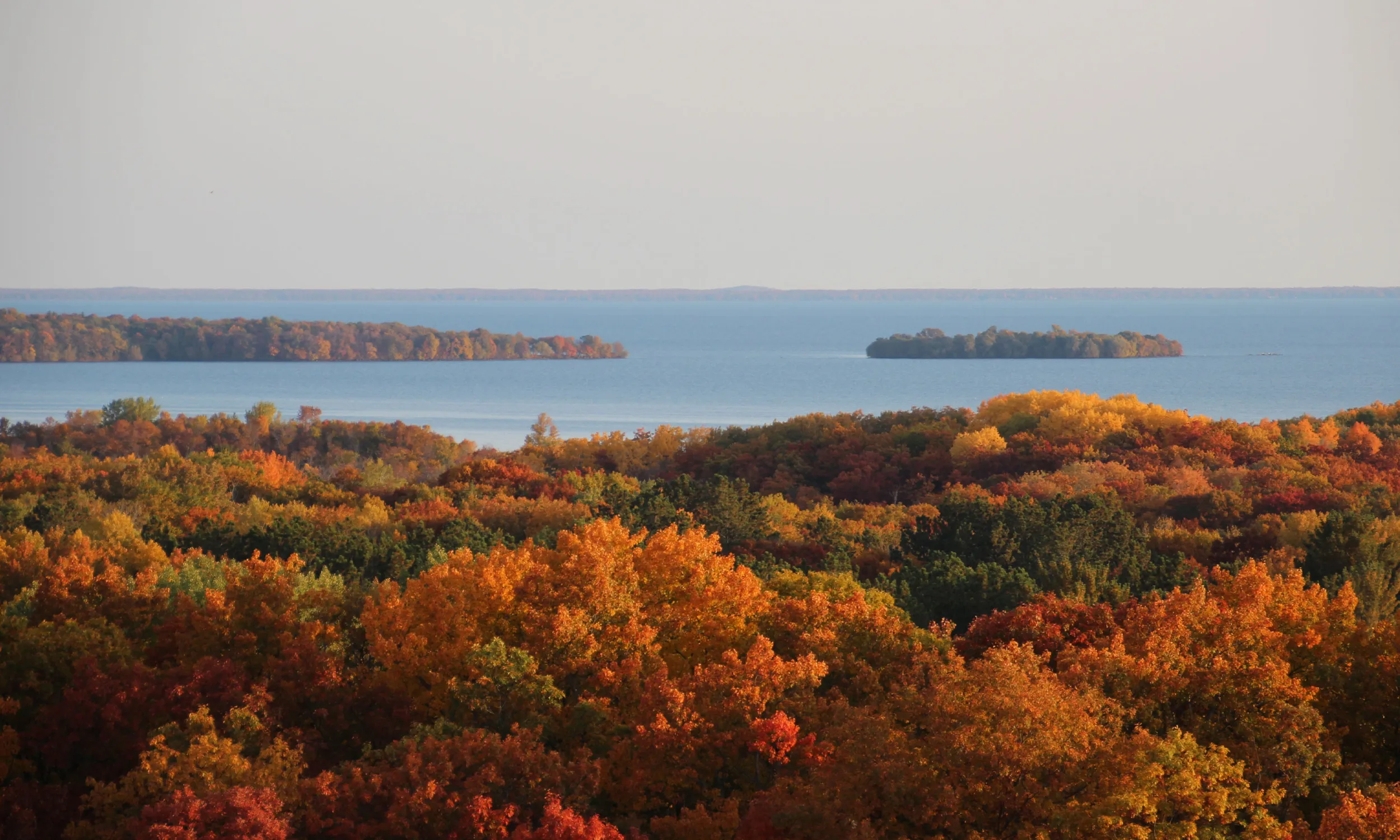 Fall trees from above Mille Lacs Kathio State Park