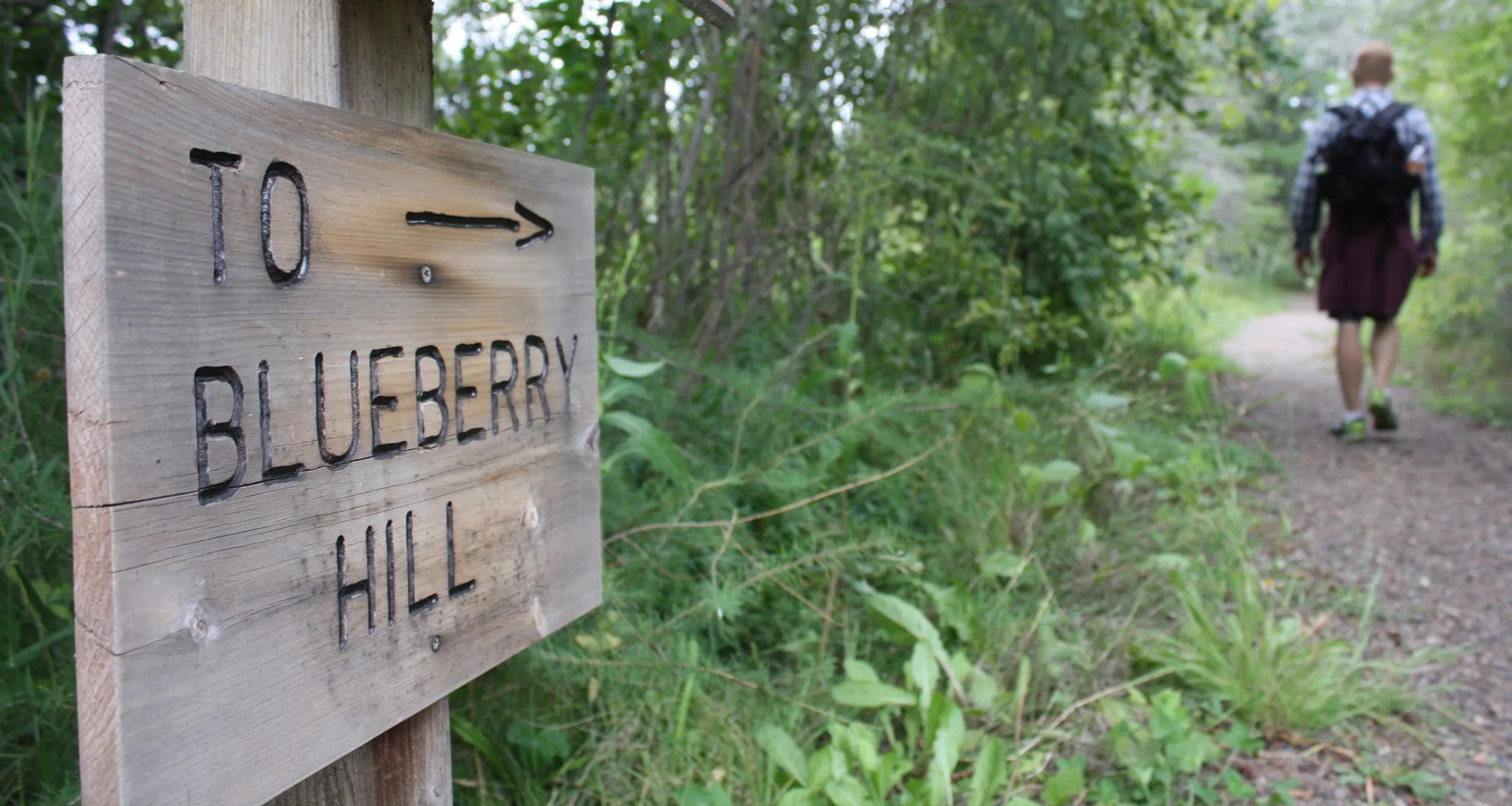 Man hiking to Blueberry Hill