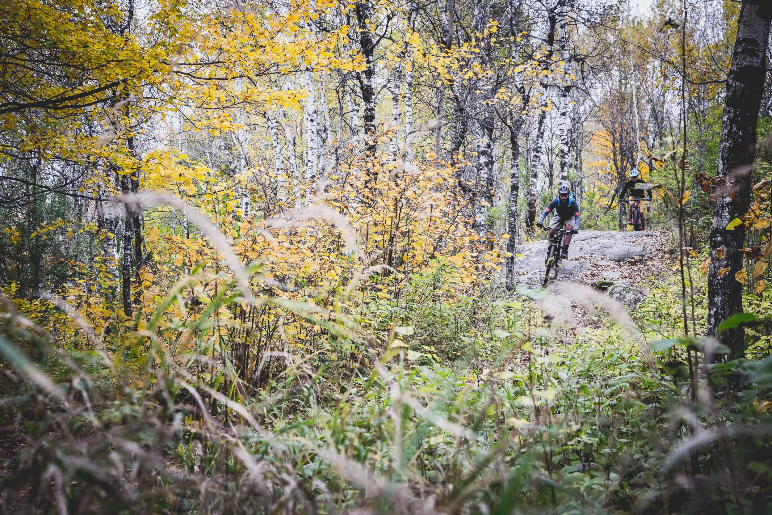 Man mountain biking in fall trees in Duluth