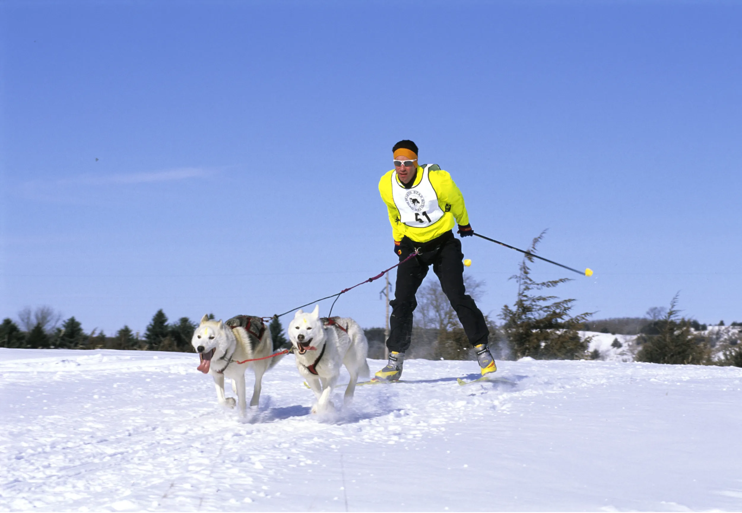 Skijoring in Cannon Falls