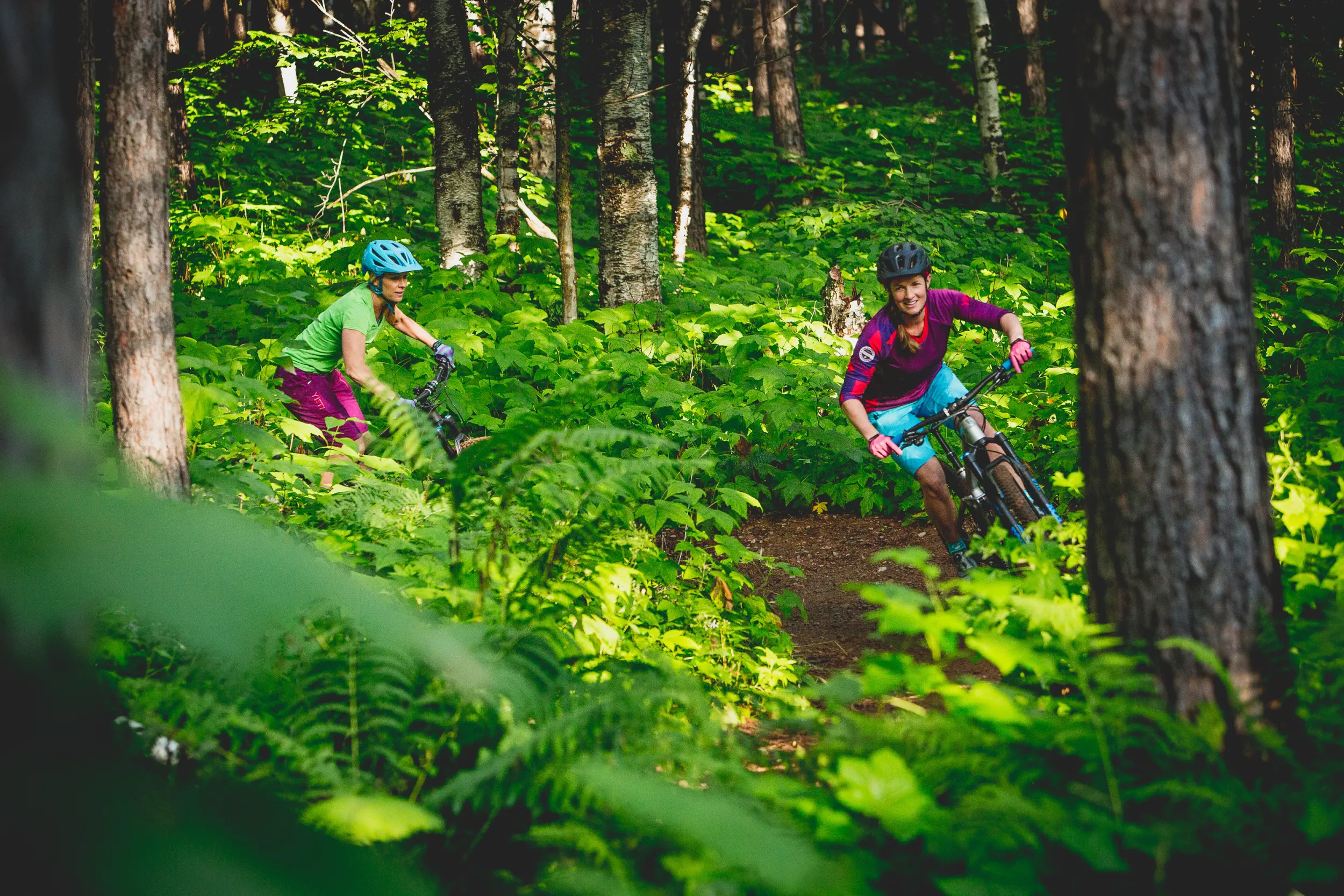 Two mountain bikers in a fern-covered forest in Duluth