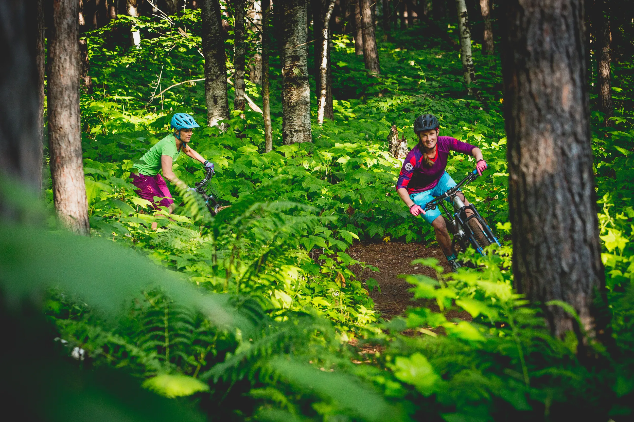 Two mountain bikers in a fern-covered forest in Duluth