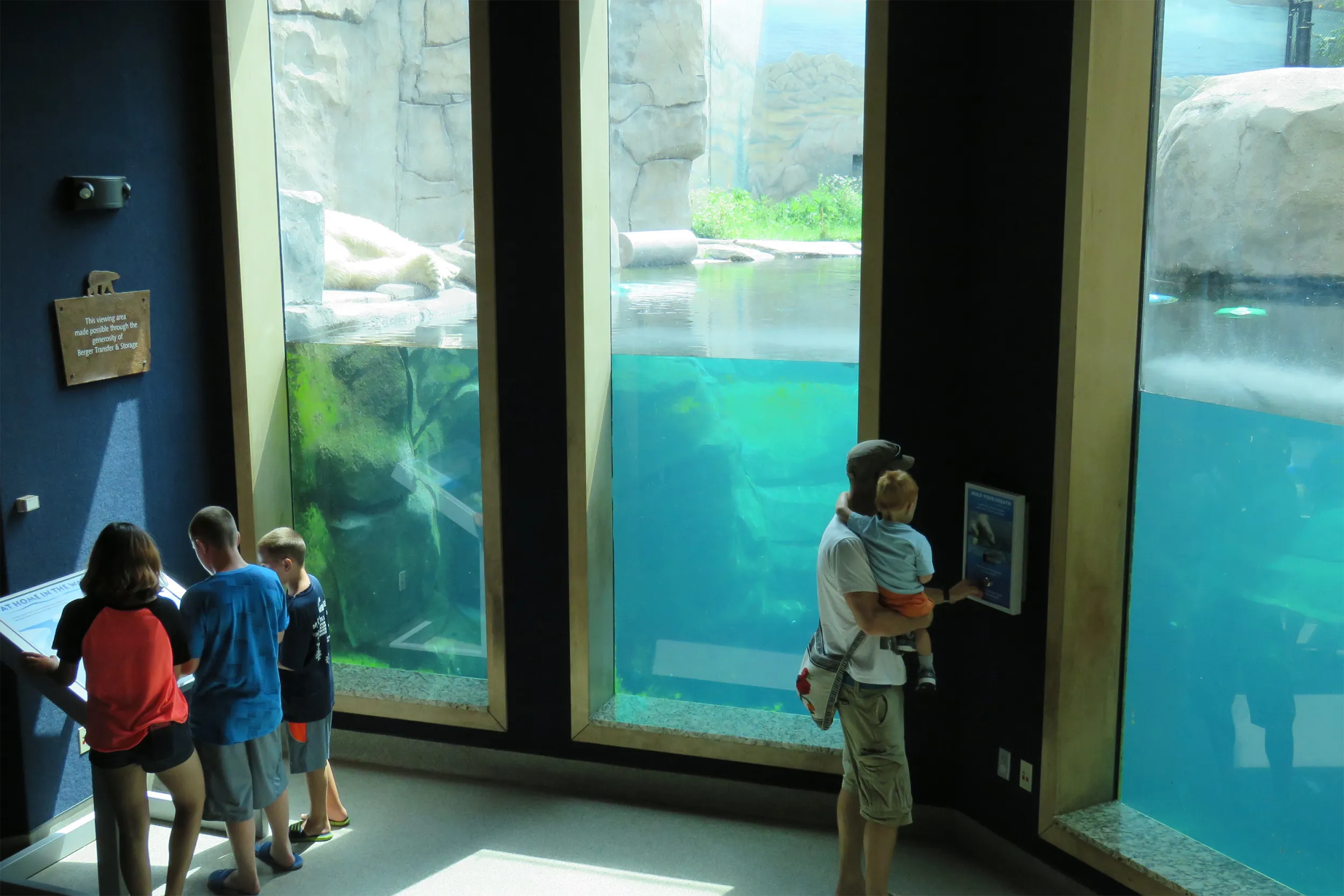 Como Zoo family at polar bear exhibit
